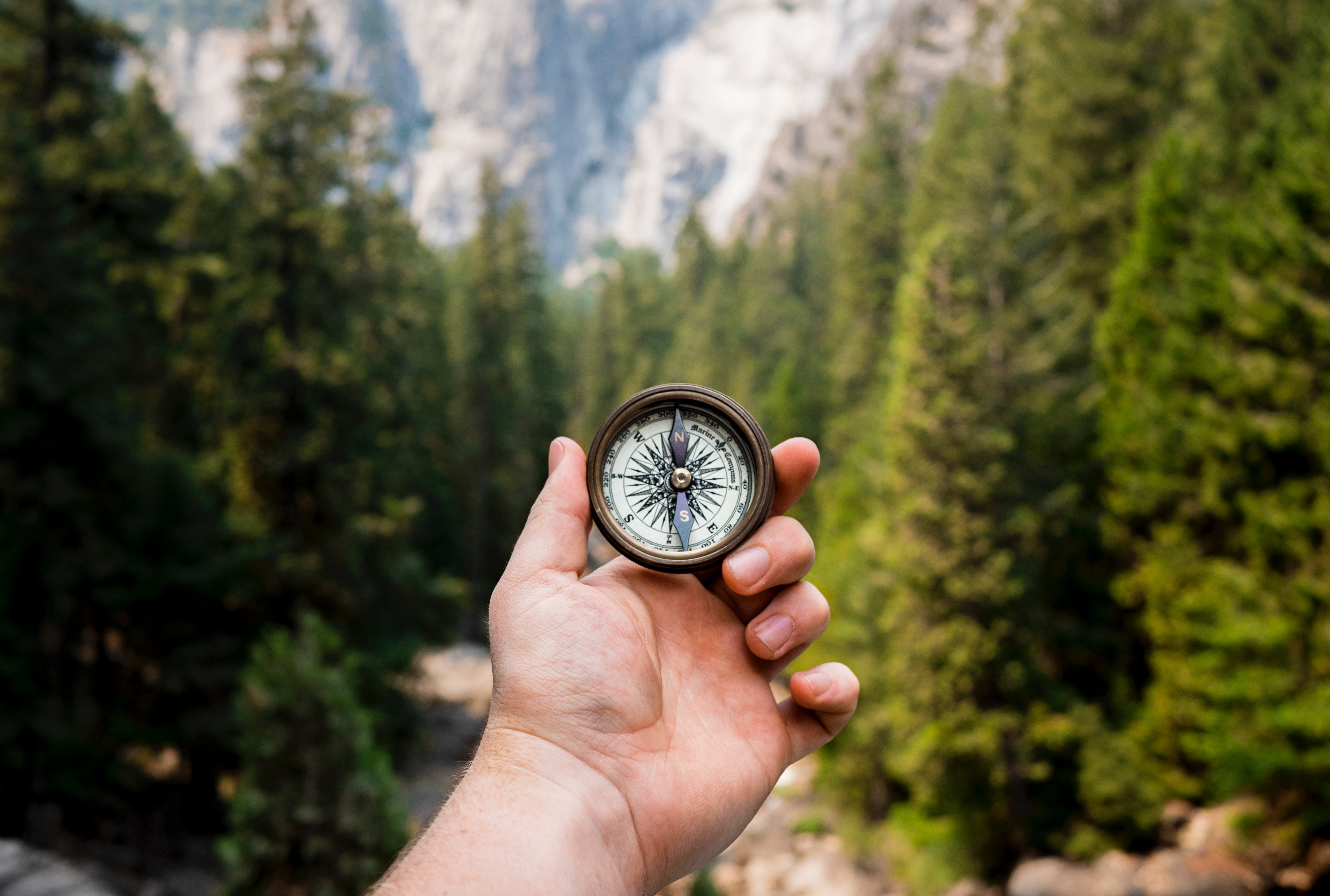 close-up, physical Geography, west - Direction, cartography, south, 5K, day, exploration, geographical Locations, direction, mountain, tourism, forest, HD Wallpaper
