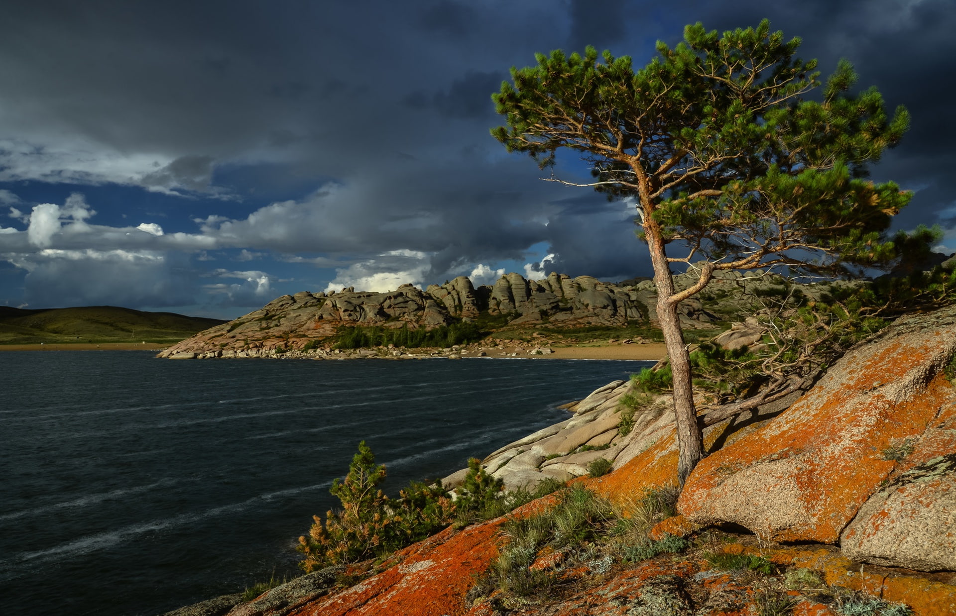 nature, land, beauty in nature, outdoors, plant, tree, day, rock, no people, Kazakhstan, cloud - sky, trees, environment, growth, sky, water, scenics - nature, HD Wallpaper