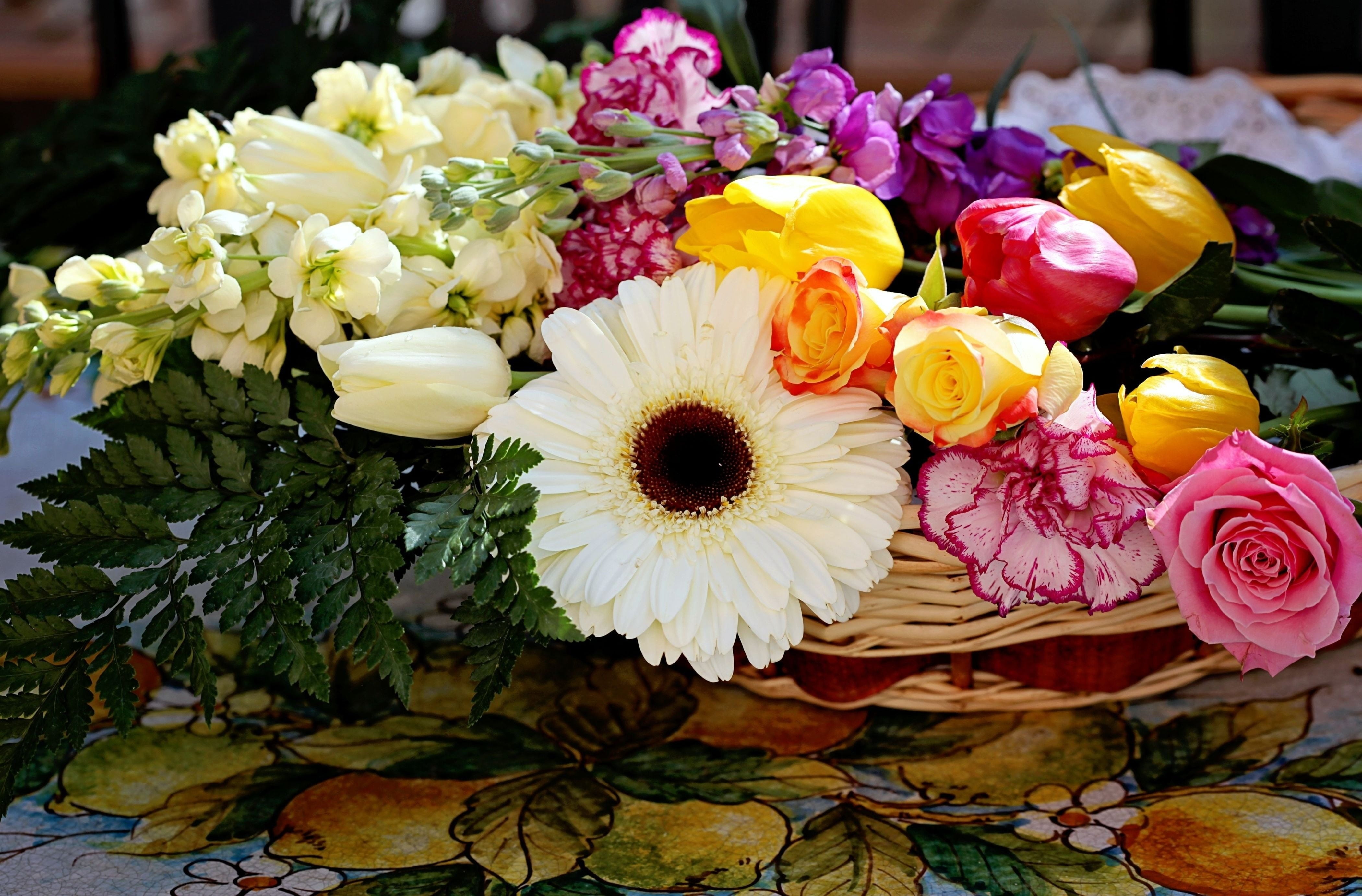 white, vulnerability, birthday, gerberas, table, flower Head, flowering plant, flower, roses, love, tulips, outdoors, flower arrangement, daisy, elegance, HD Wallpaper