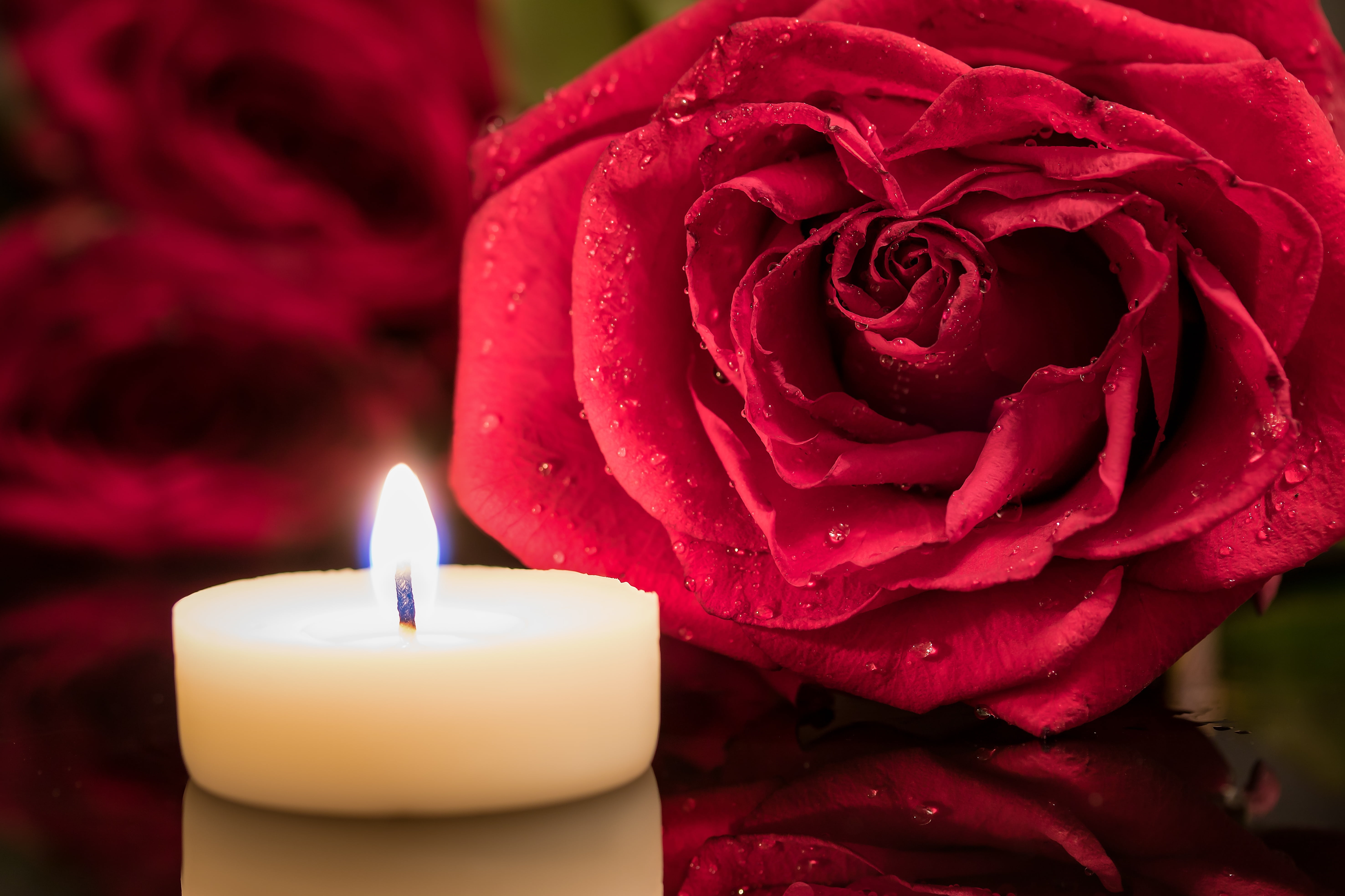 flower head, fire, plant, beauty, romance, mood, scented, inflorescence, tealight, fire - natural phenomenon, candle, nostalgic, petal, burning, red, 5K, HD Wallpaper