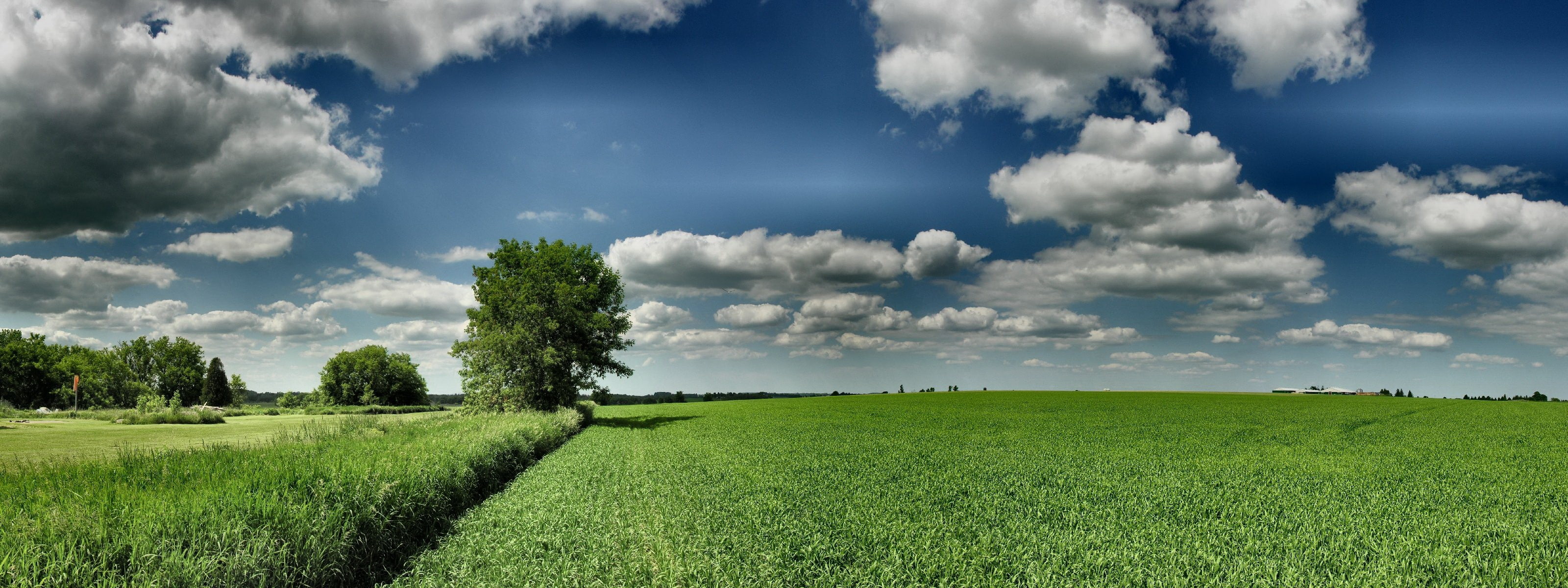 2K, fields, Clouds, HORIZON, dual screen, dual, grass, herbs, art, hd, screen, Field, nature, panoramic, HD Wallpaper
