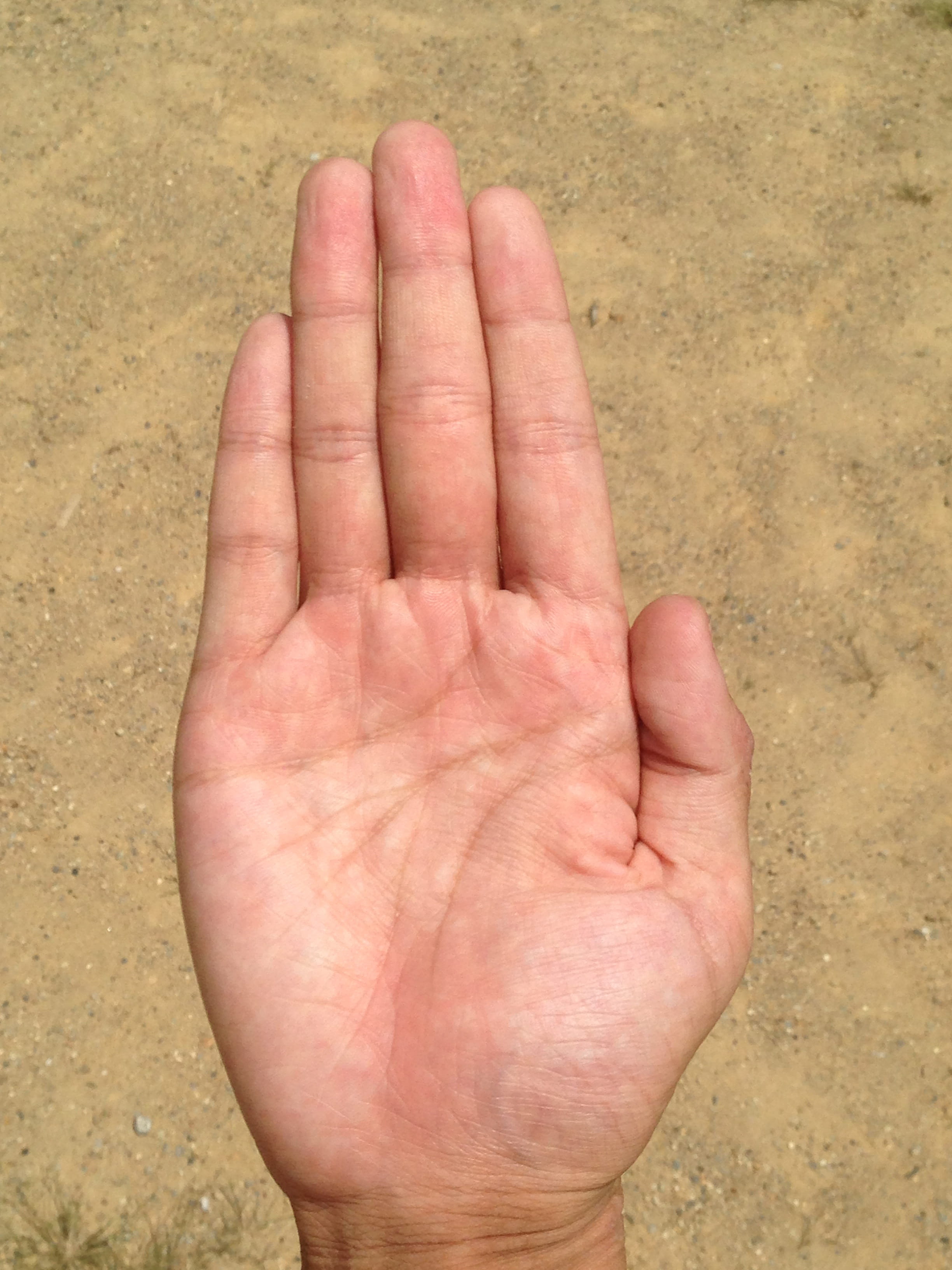 adult, heal, the human body, pot, coast, unlucky, fingerprint, women, bright, medical care, palm reading, images, fortune-telling, temomi, with your bare hands, Phone HD Wallpaper