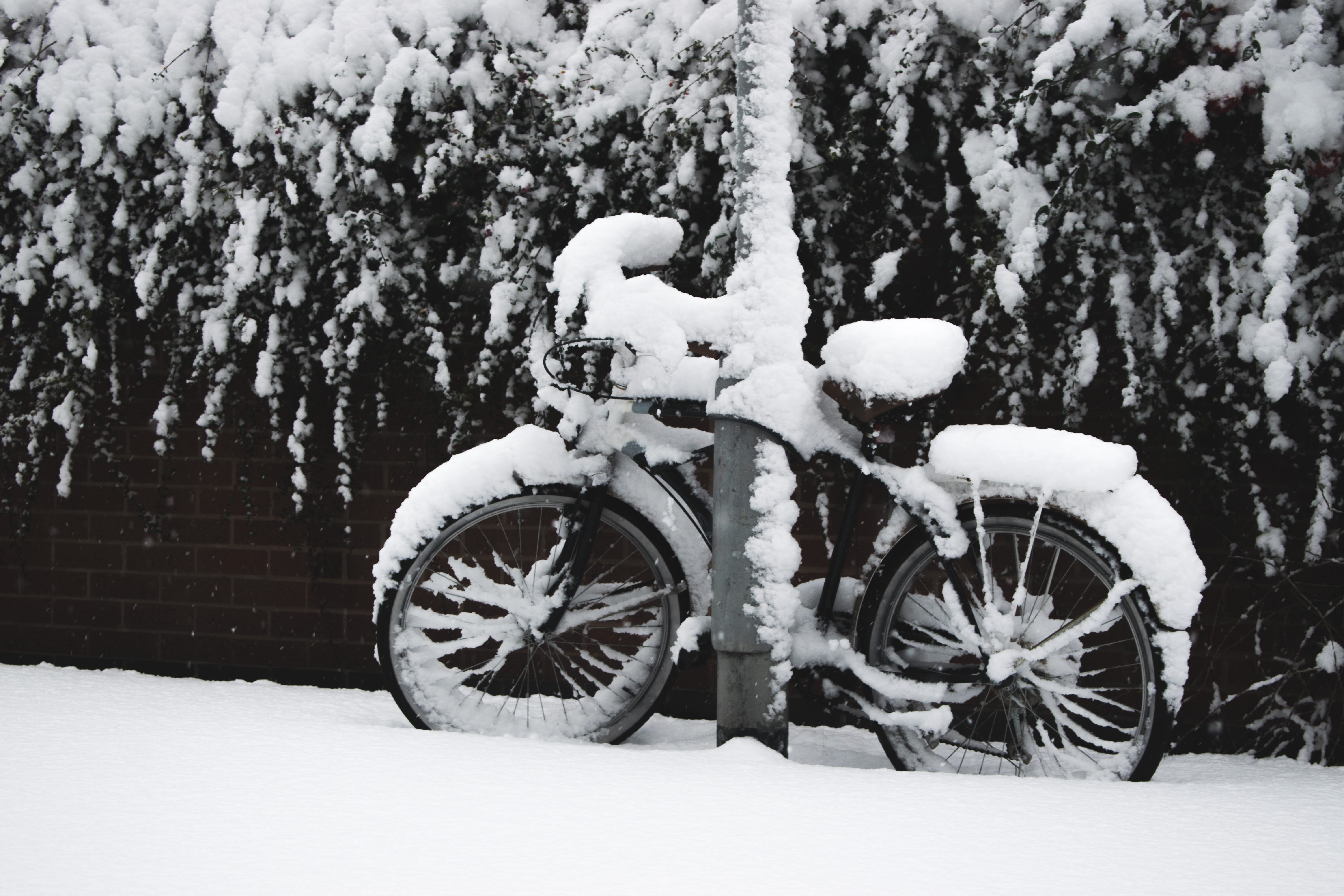 mode of transportation, no people, bike, 2018, land, new year, outdoors, coventry, snowcapped mountain, trees, snowing, beauty in nature, land vehicle, HD Wallpaper