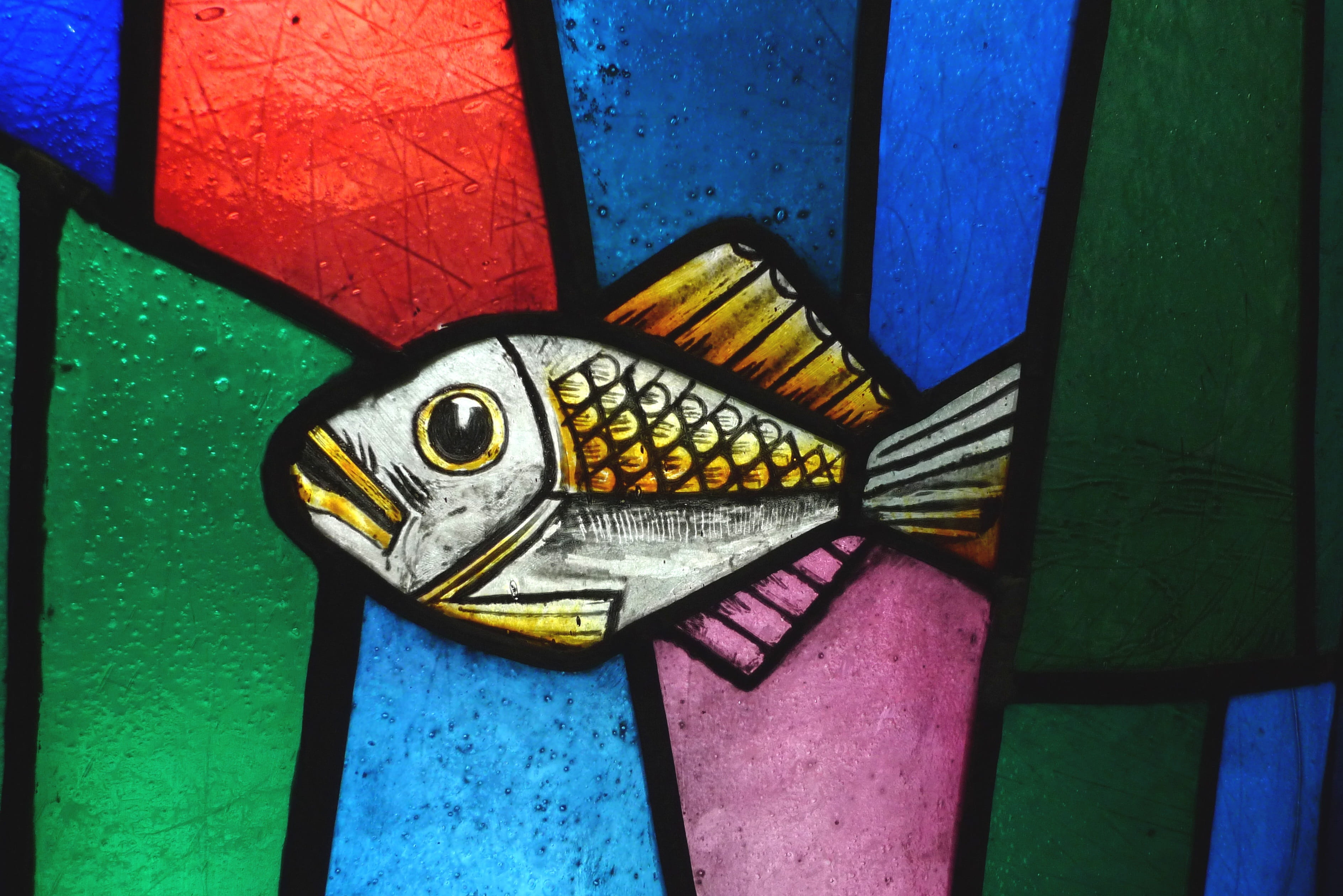 stained, white, no people, design, creativity, built structure, Stained Glass, architecture, close-up, door, wall - building feature, fish, Glass, cathedral, HD Wallpaper