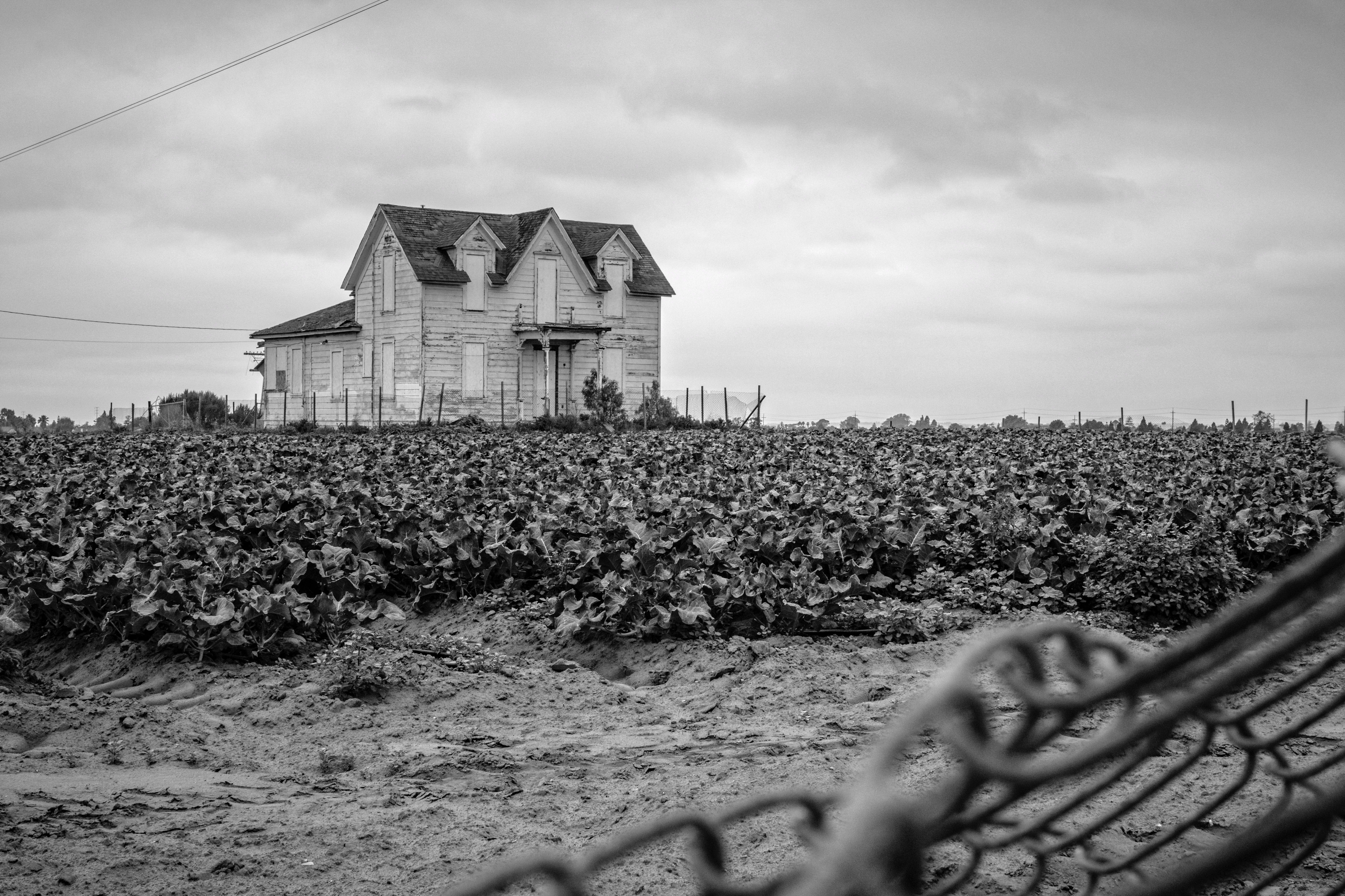 5K, farming, agriculture, landscape, architecture, built structure, field, santa maria, fence, old, farm, sky, outdoors, california, crops, plant, nature, HD Wallpaper