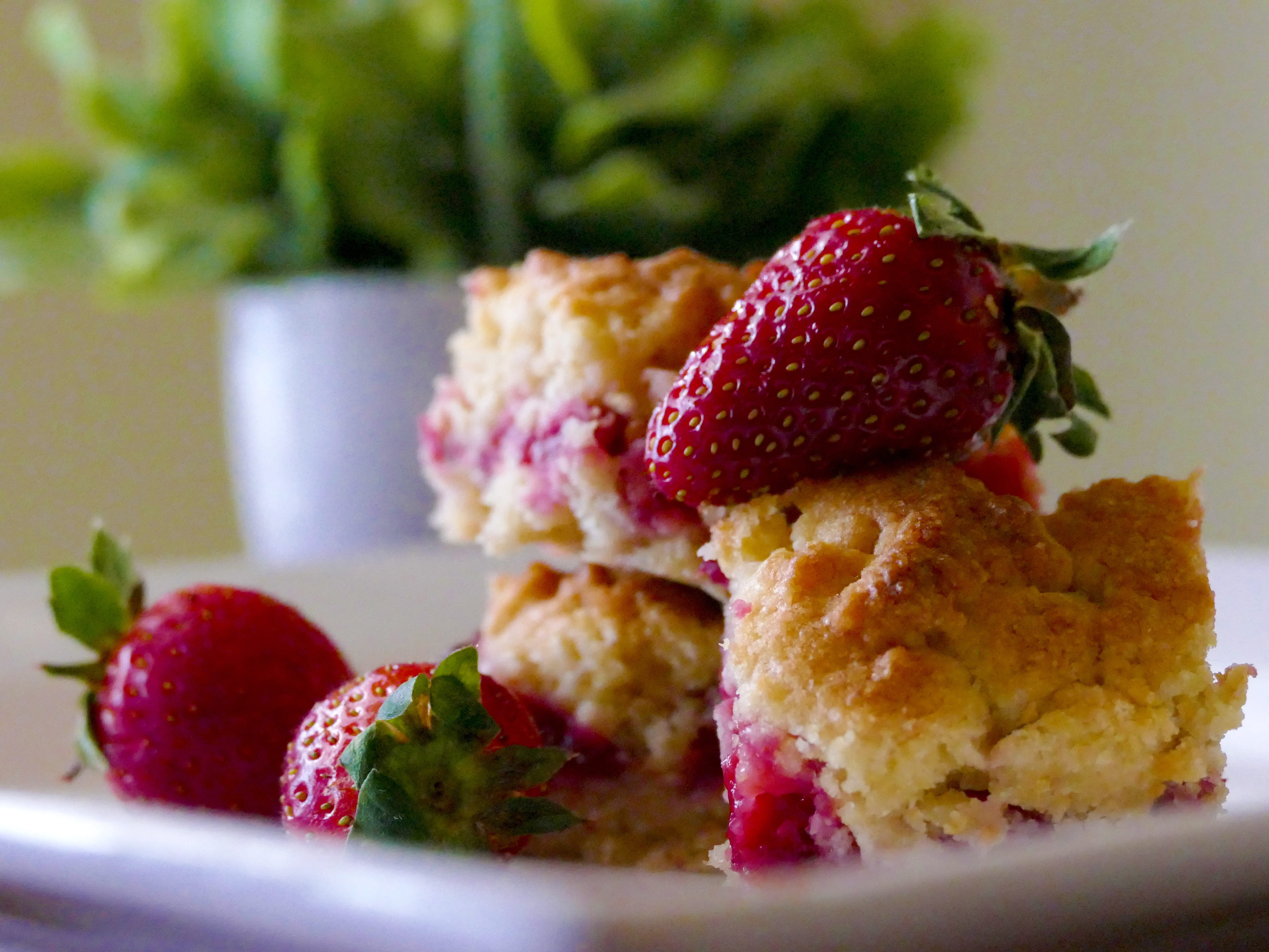 close-up, food, temptation, crumble, freshness, breakfast, healthy eating, selective focus, sweet food, sweet, 4K, ready-to-eat, baked, dessert, plate, HD Wallpaper