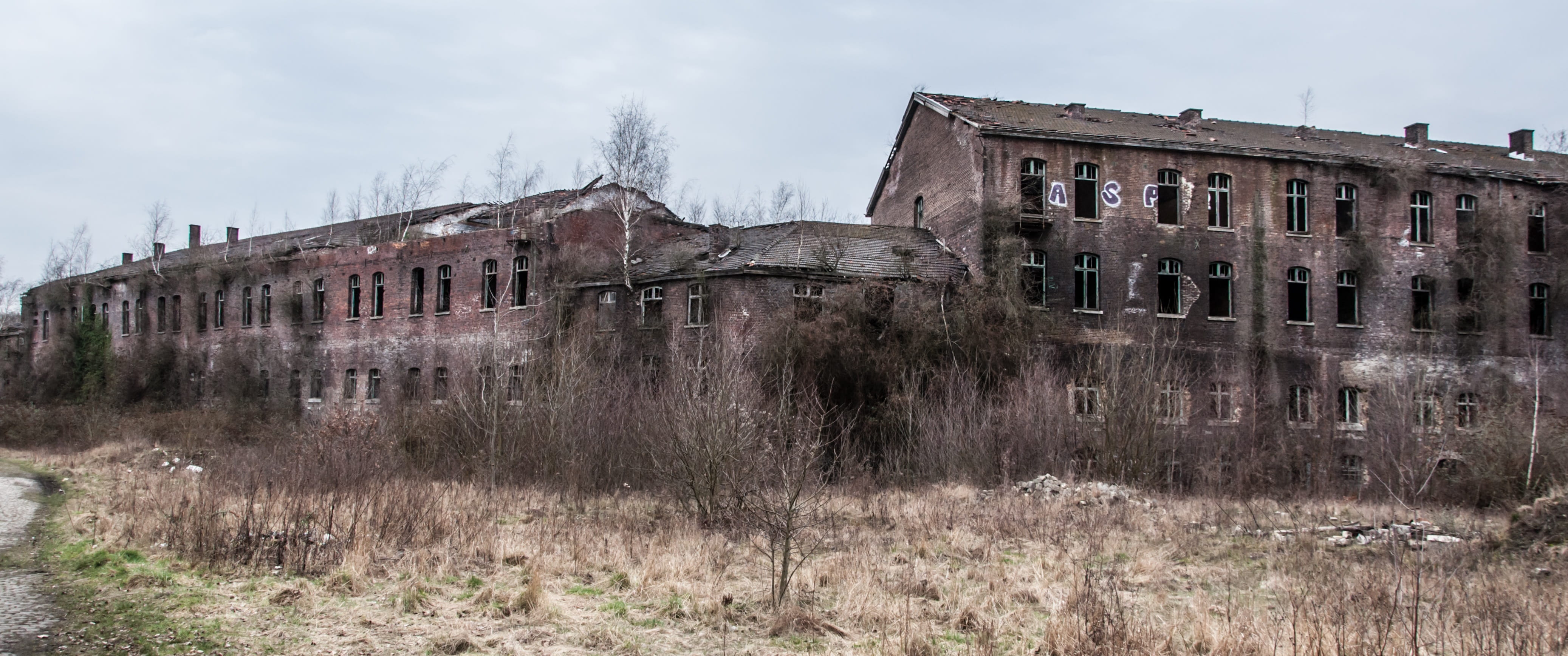 old house, nature, texture, tree, bricks, background image, structure, concrete, bad condition, brown, plant, destruction, old buildings and structures, HD Wallpaper