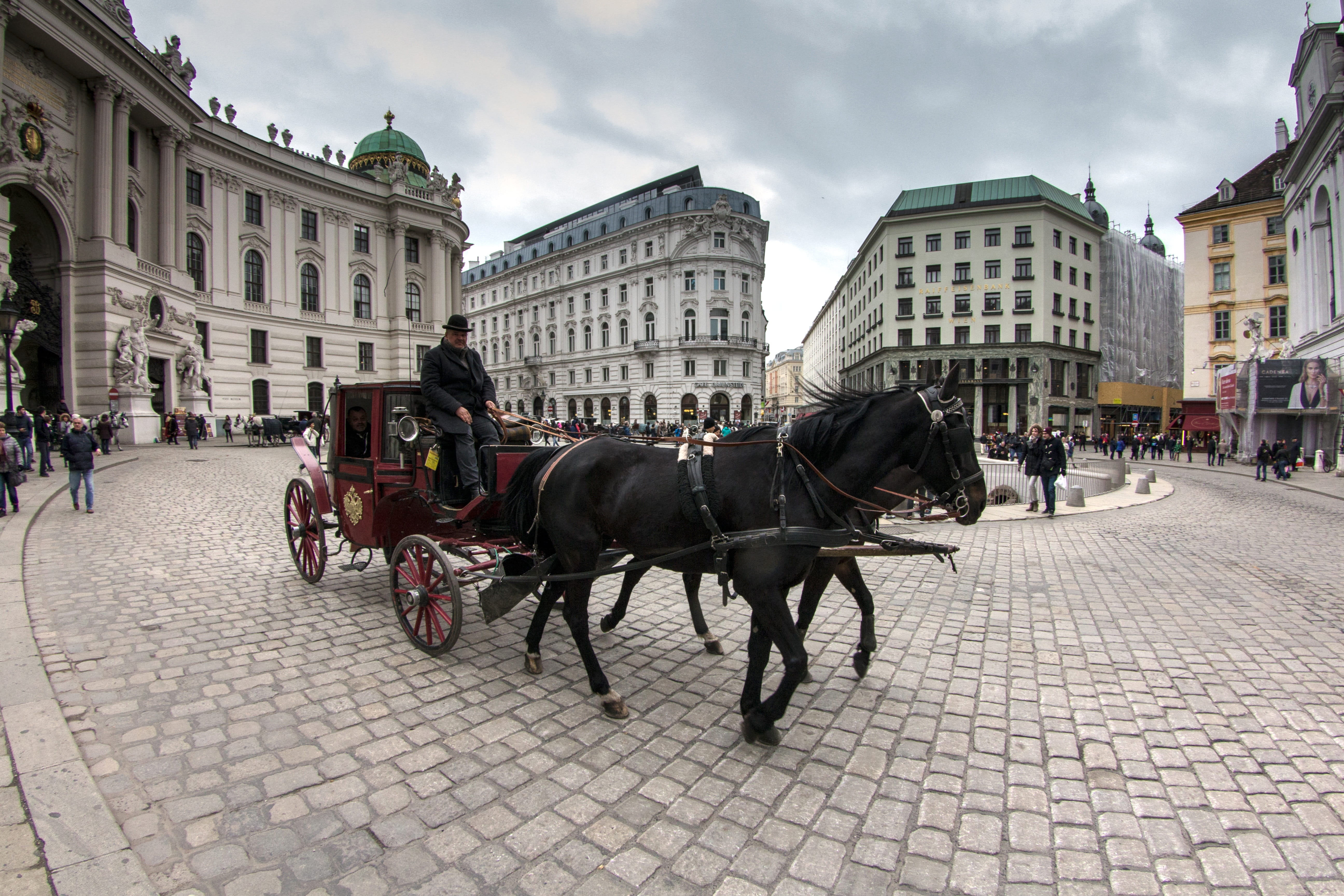 horsedrawn, animal, city, places of interest, cab, cart, cobblestone, animal wildlife, domestic animals, domestic, outdoors, pets, pedestrian zone, Old Town, HD Wallpaper