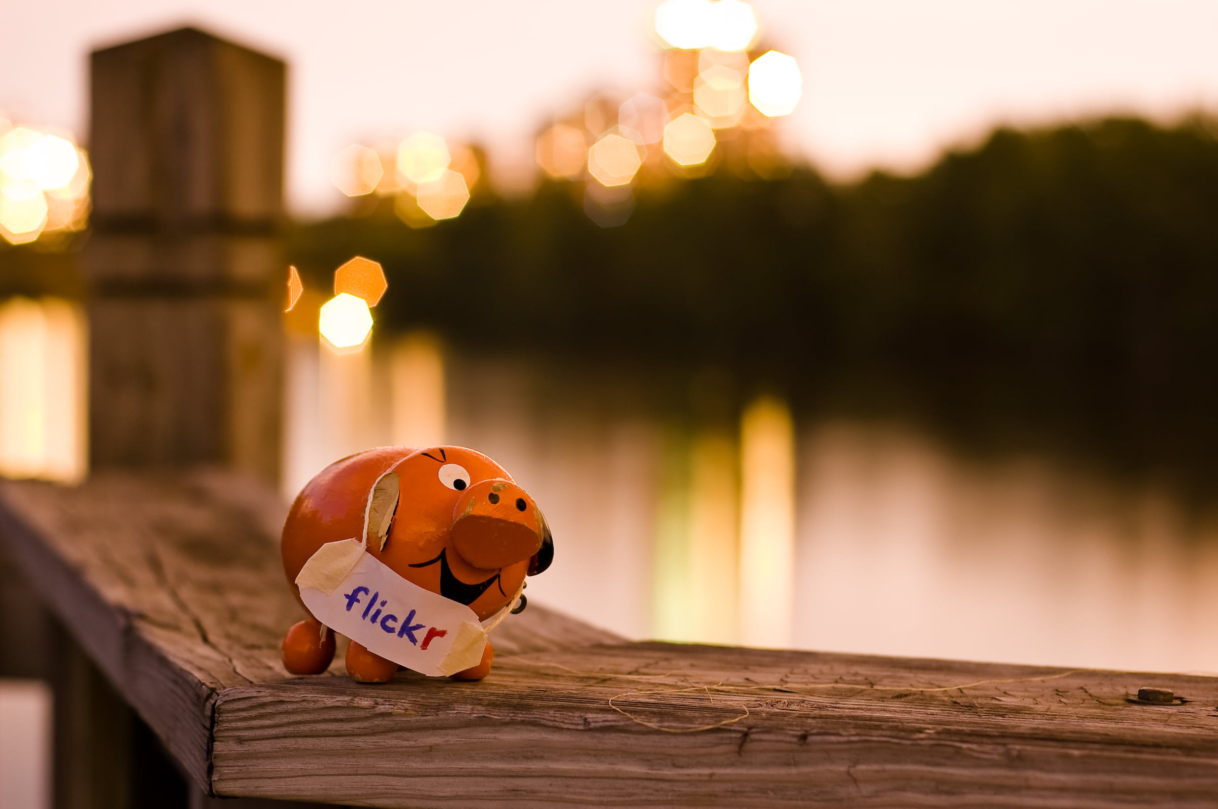 île de la Visitation, Flickr, 8D, pig, having fun, body of water, evening, body, brown, Québec, water, 24 hours, Nikkor, surface, near, Montréal, wood - Material, HD Wallpaper