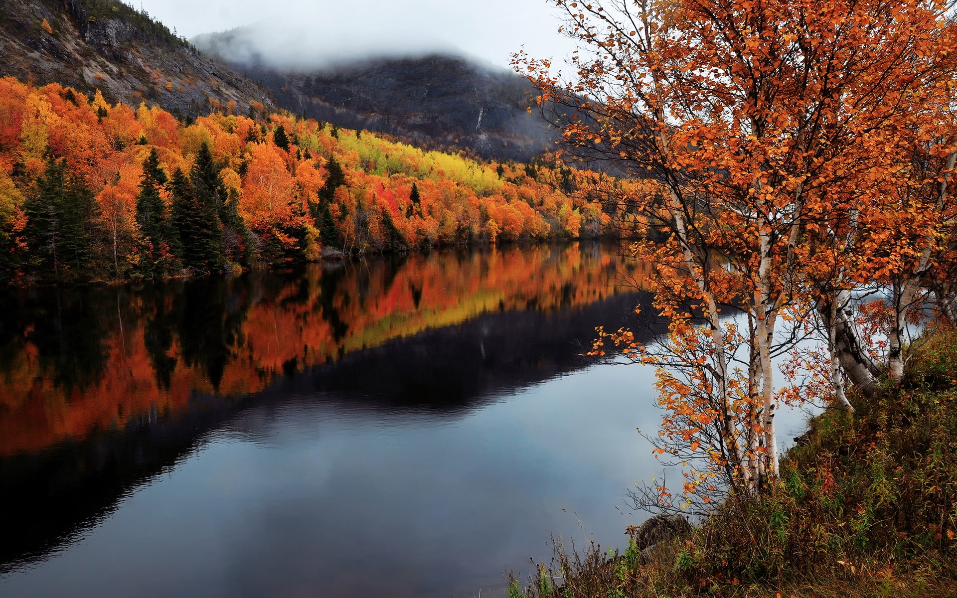 1080P, Labrador, Canada, Autumn, Trees, Newfoundland, River, HD Wallpaper