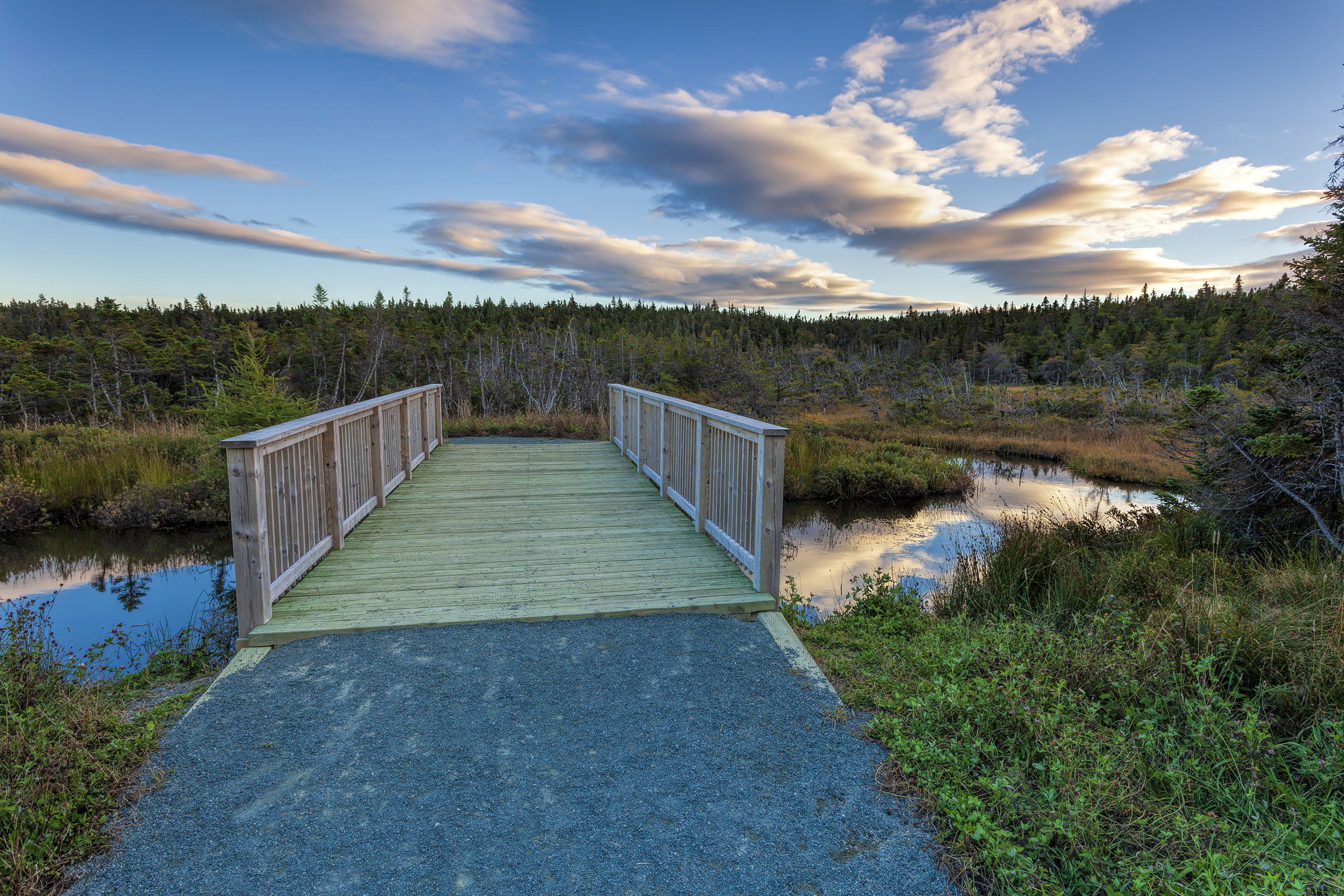 fall, bridge, outdoor, colors, tourism, scenics - nature, three, cloud - sky, active, view, day, land, tranquil, environment, scenic, 1080P, newfoundland and labrador, HD Wallpaper