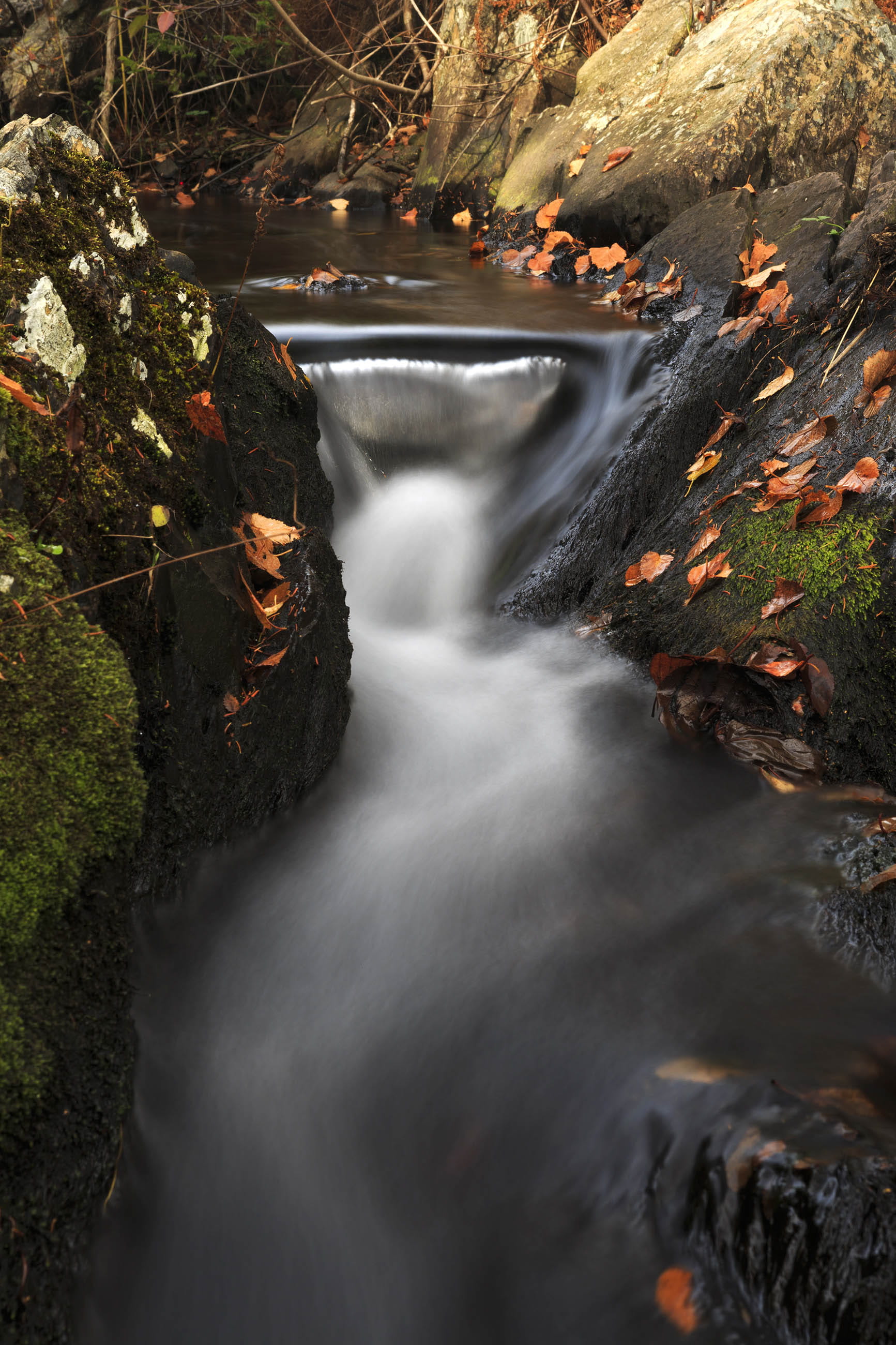 stream - flowing water, peace, rock - object, day, falling water, motion, pond, yellow, newfoundland and labrador, park, stream, no people, solid, tree, Phone HD Wallpaper