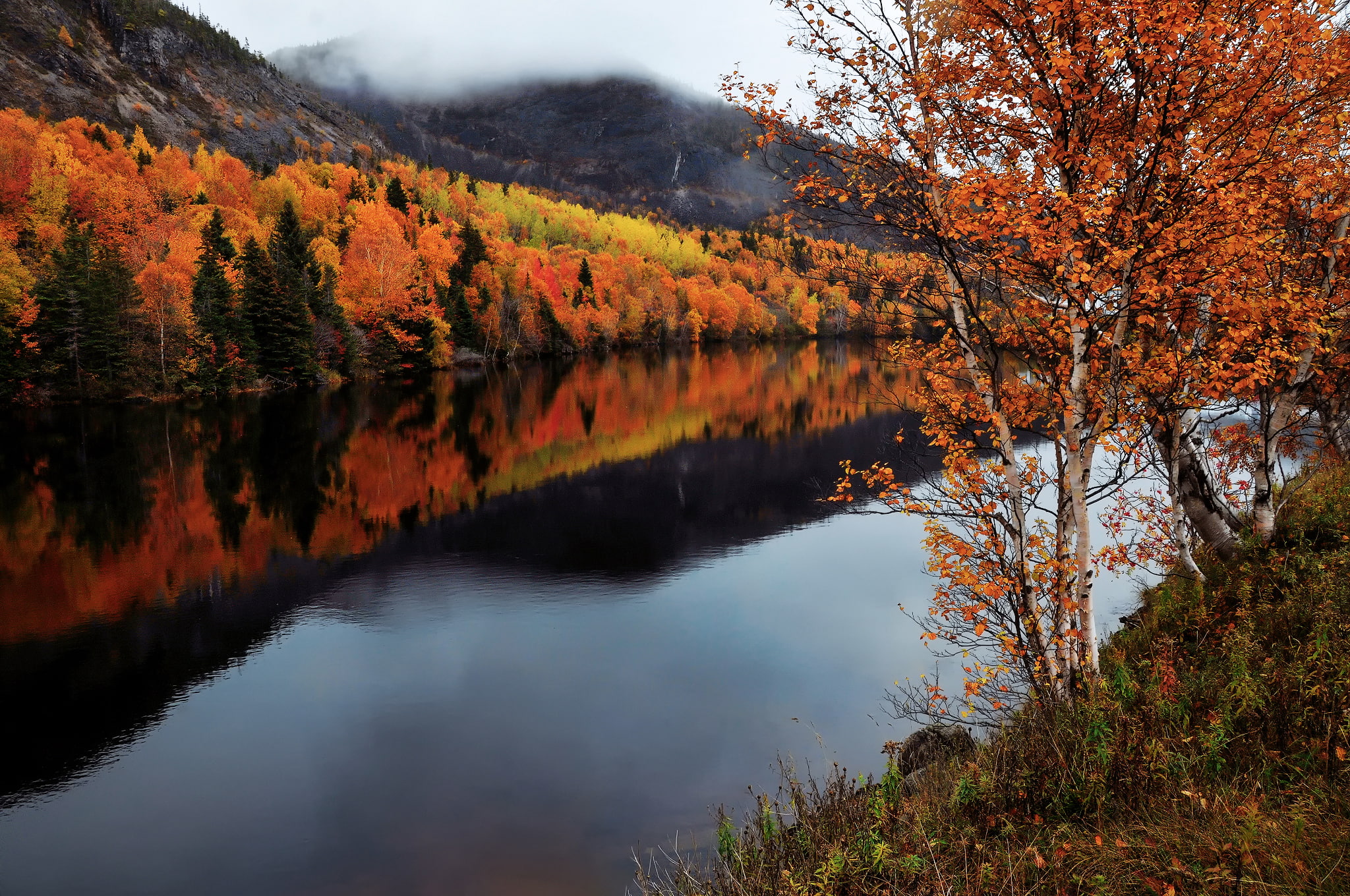autumn, river, Humber River, Canada, Newfoundland and Labrador, 1080P, HD Wallpaper