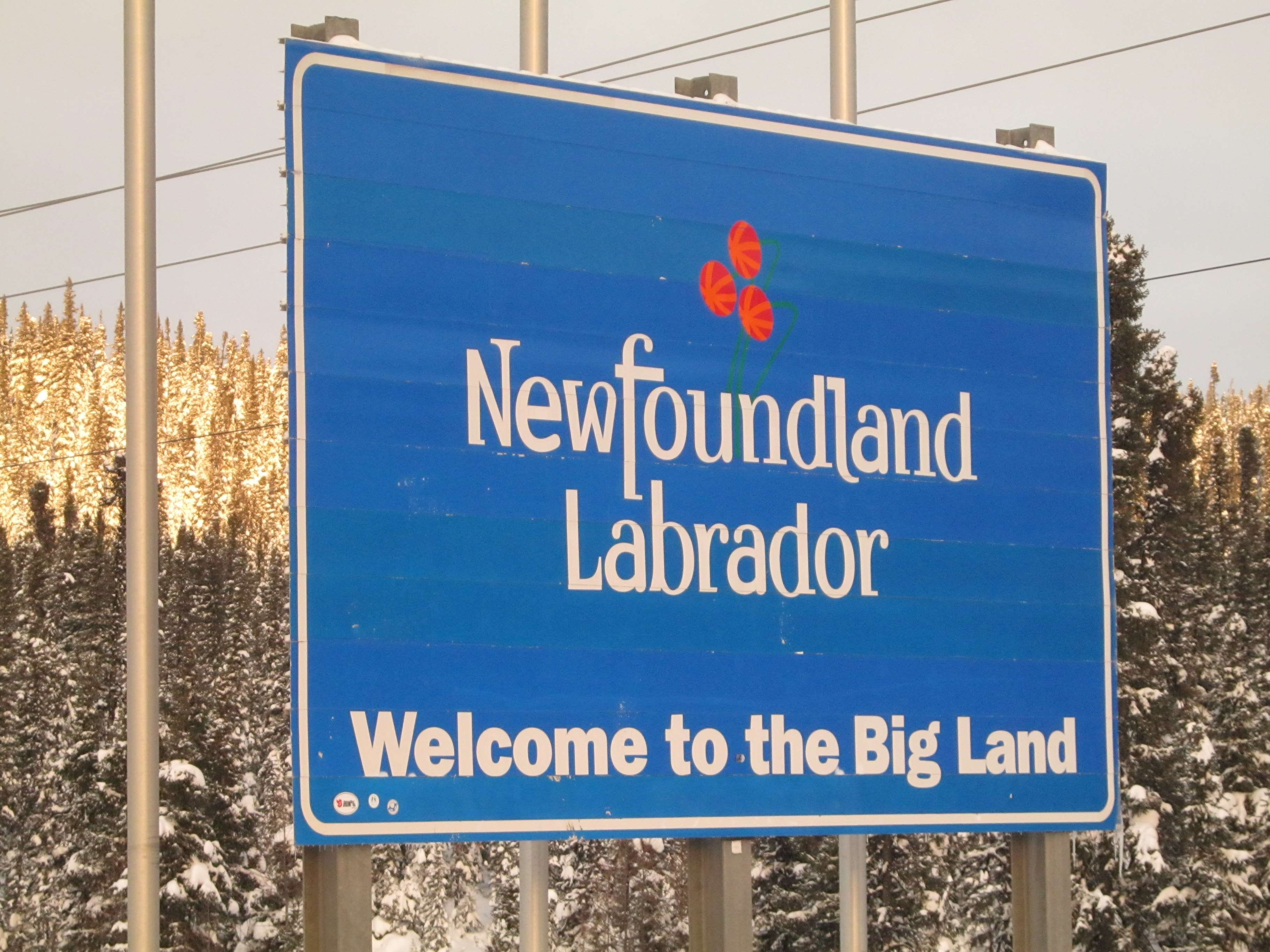 text, labrador, sign, script, non-western script, newfoundland, message, blue, outdoors, communication, day, information, no people, western script, guidance, HD Wallpaper