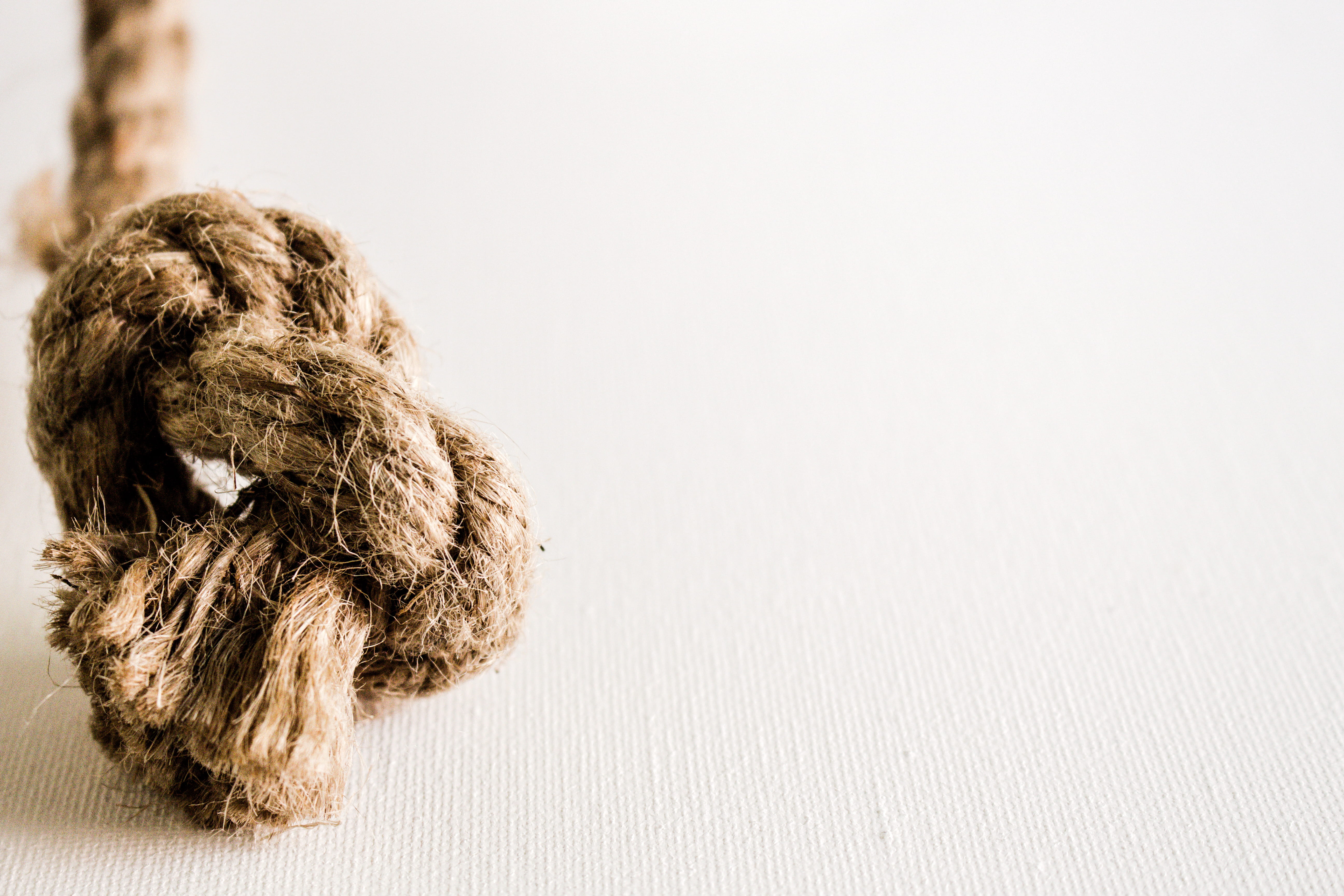 frayed, plant, simple, wedding, copy space, strand, studio shot, tie the knot, knot, string, softness, animal hair, cord, burlap, macrame, white background, HD Wallpaper