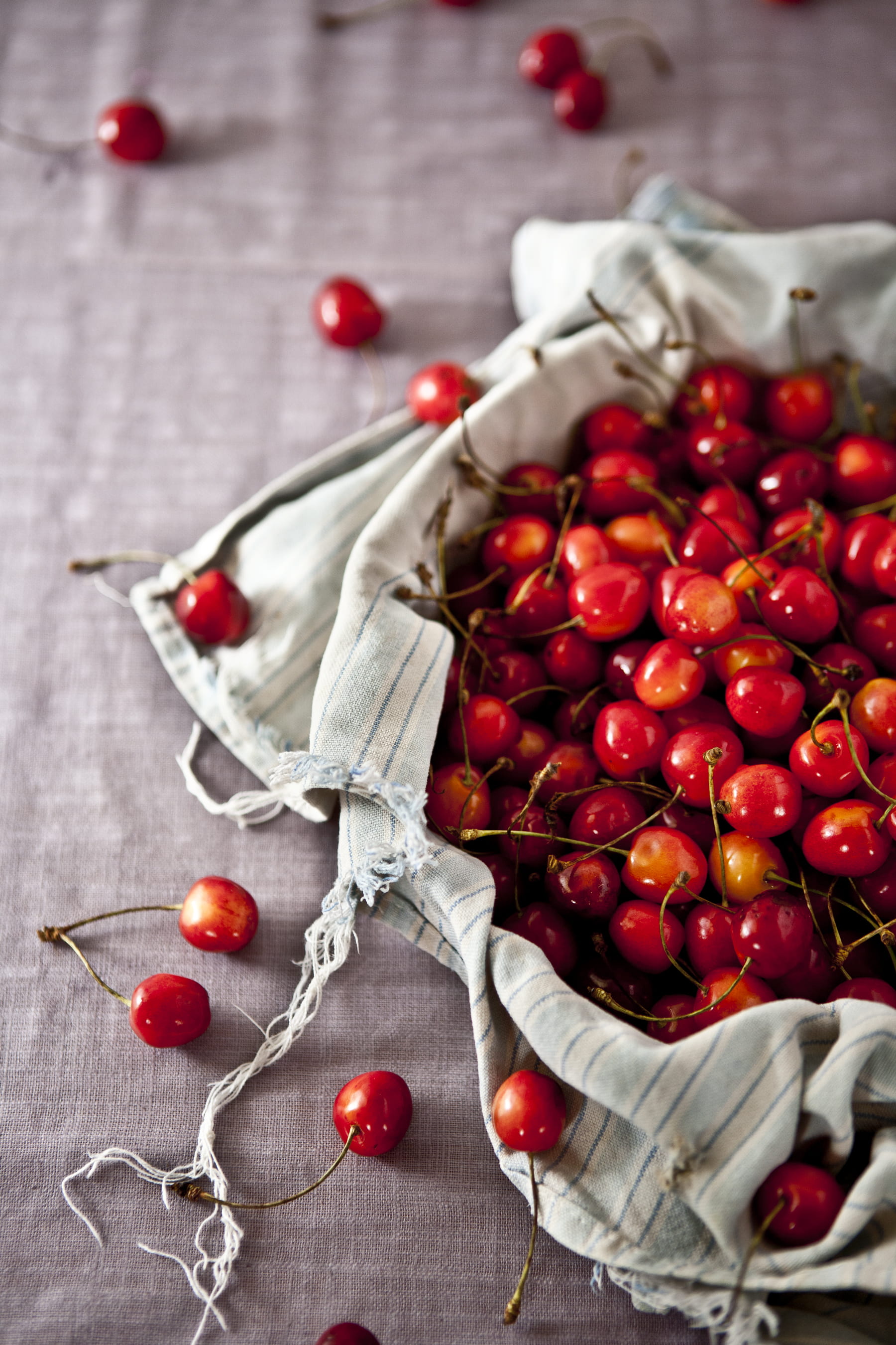 textile, cloth, berry fruit, studio shot, dish towel, no people, large group of objects, close-up, photography, still life, food, cherry, 2K, freshness, Phone HD Wallpaper