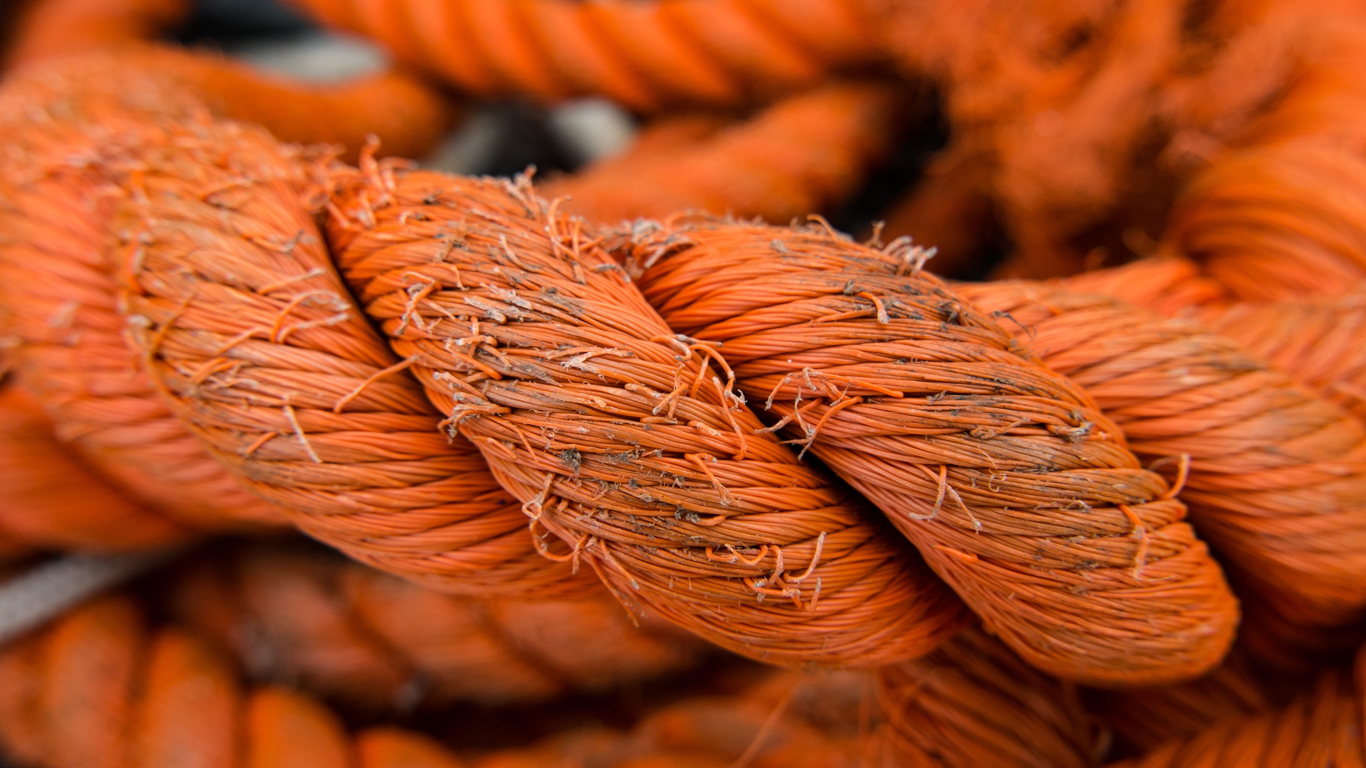 food and drink, twisted, pattern, strength, fruit, orange color, natural condition, brown, close-up, large group of objects, strong, autumn, orange, retail, HD Wallpaper
