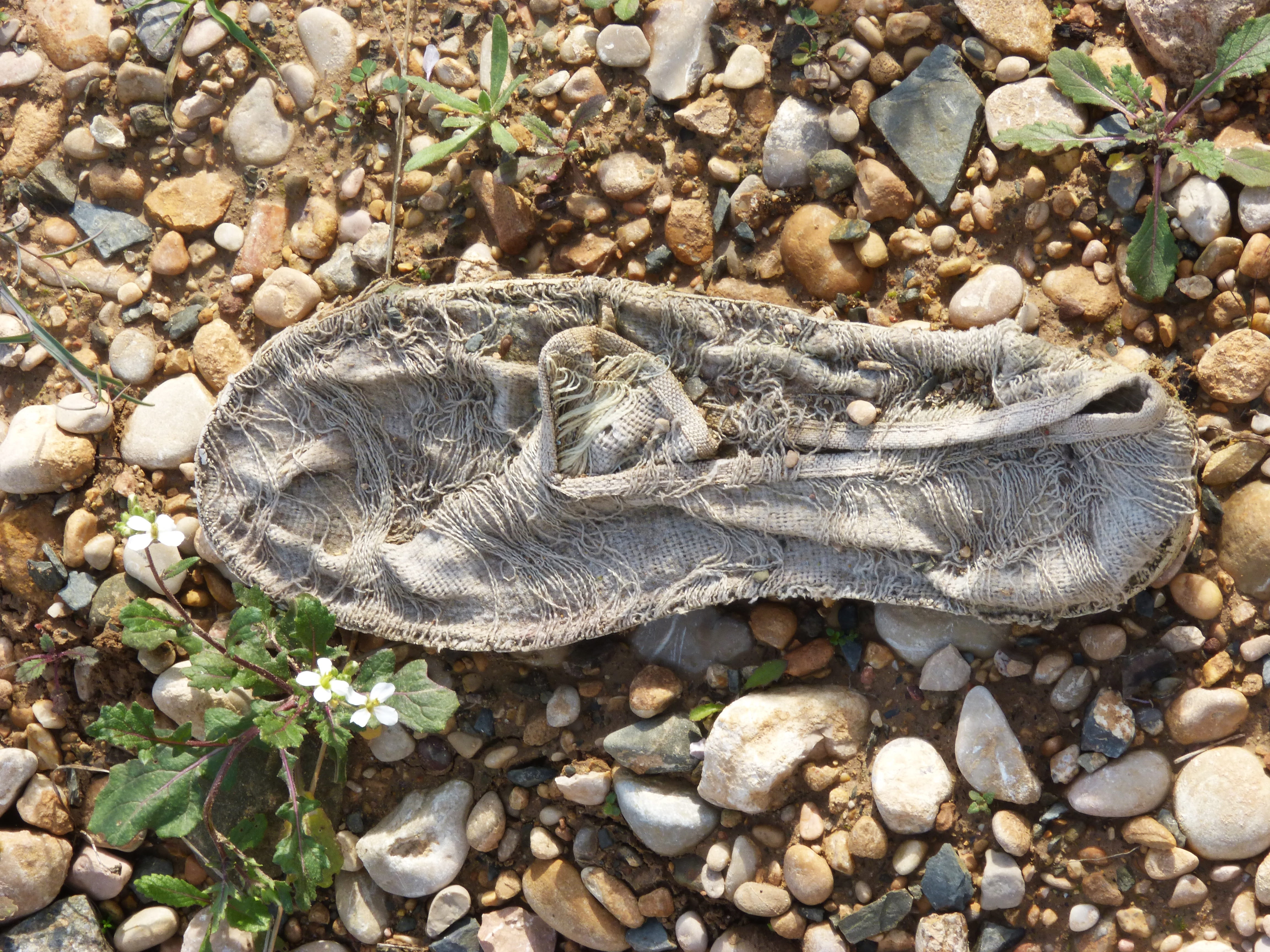 animal, Abandoned, Frayed, Old, stone, outdoors, reptile, animal wildlife, animal themes, sunlight, solid, 4K, used, rock - object, land, abandonment, HD Wallpaper