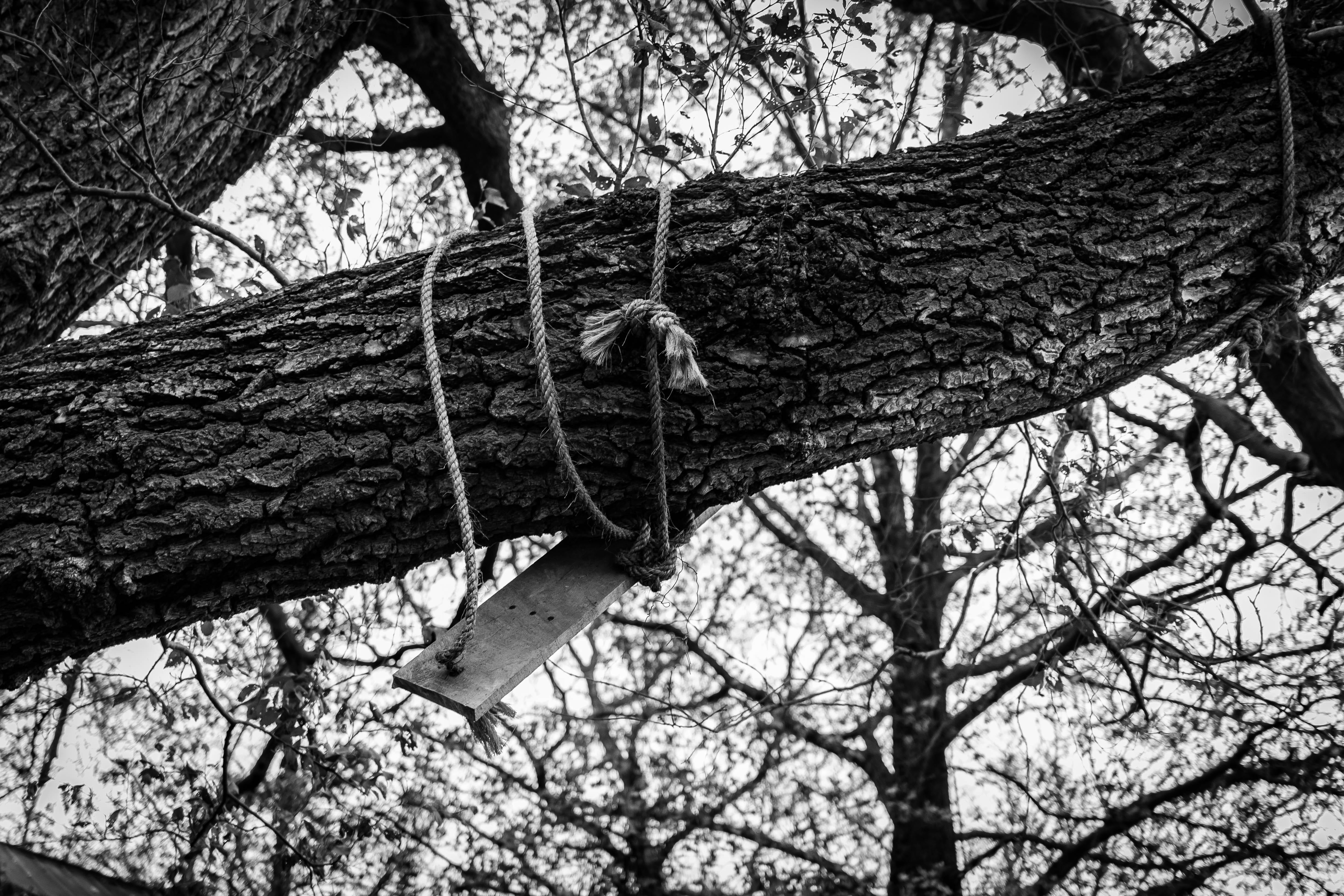 black and white photography, ohio, forest, nature, growth, close-up, bare tree, textured, united states, knot, low angle view, canon rebel, focus on foreground, HD Wallpaper