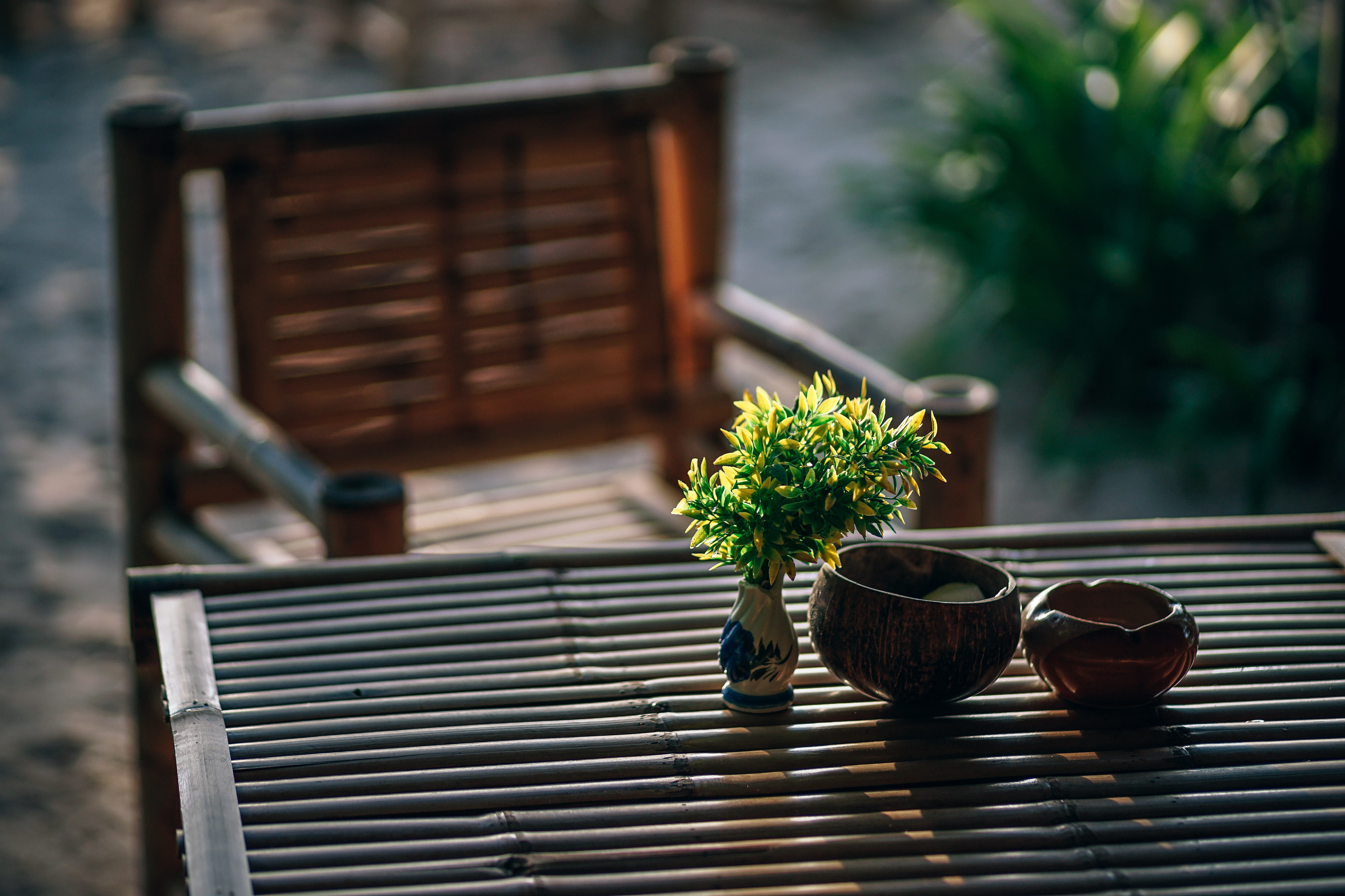 photography, blurred background, nature, growth, day, selective focus, potted plant, architecture, flower, brown, wood - material, focus on foreground, HD Wallpaper