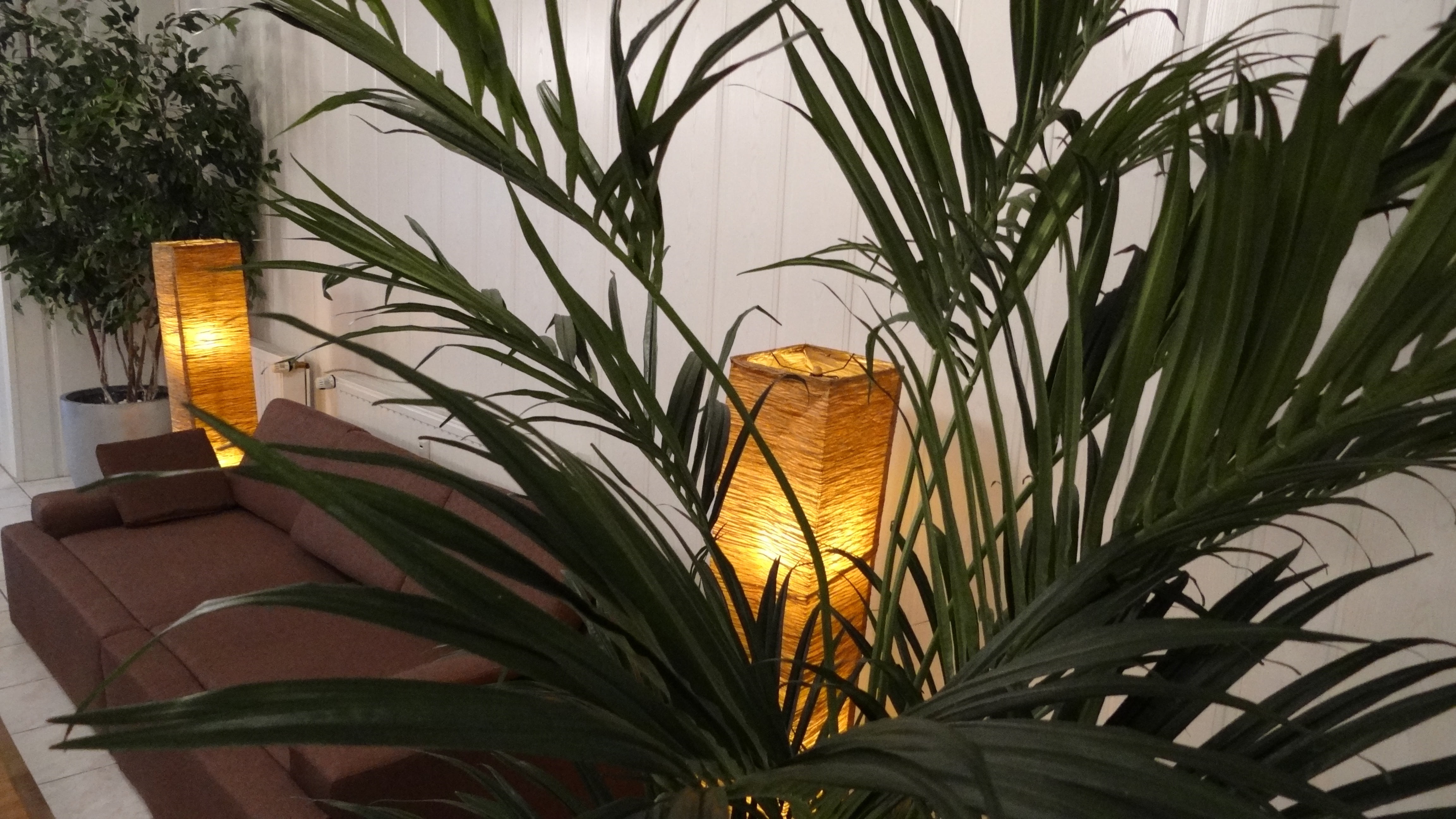 tree, low angle view, palm tree, sofa, nature, orange color, lighting equipment, yellow, glowing, close-up, lamps, palm leaf, sky, day, decoration, outdoors, HD Wallpaper
