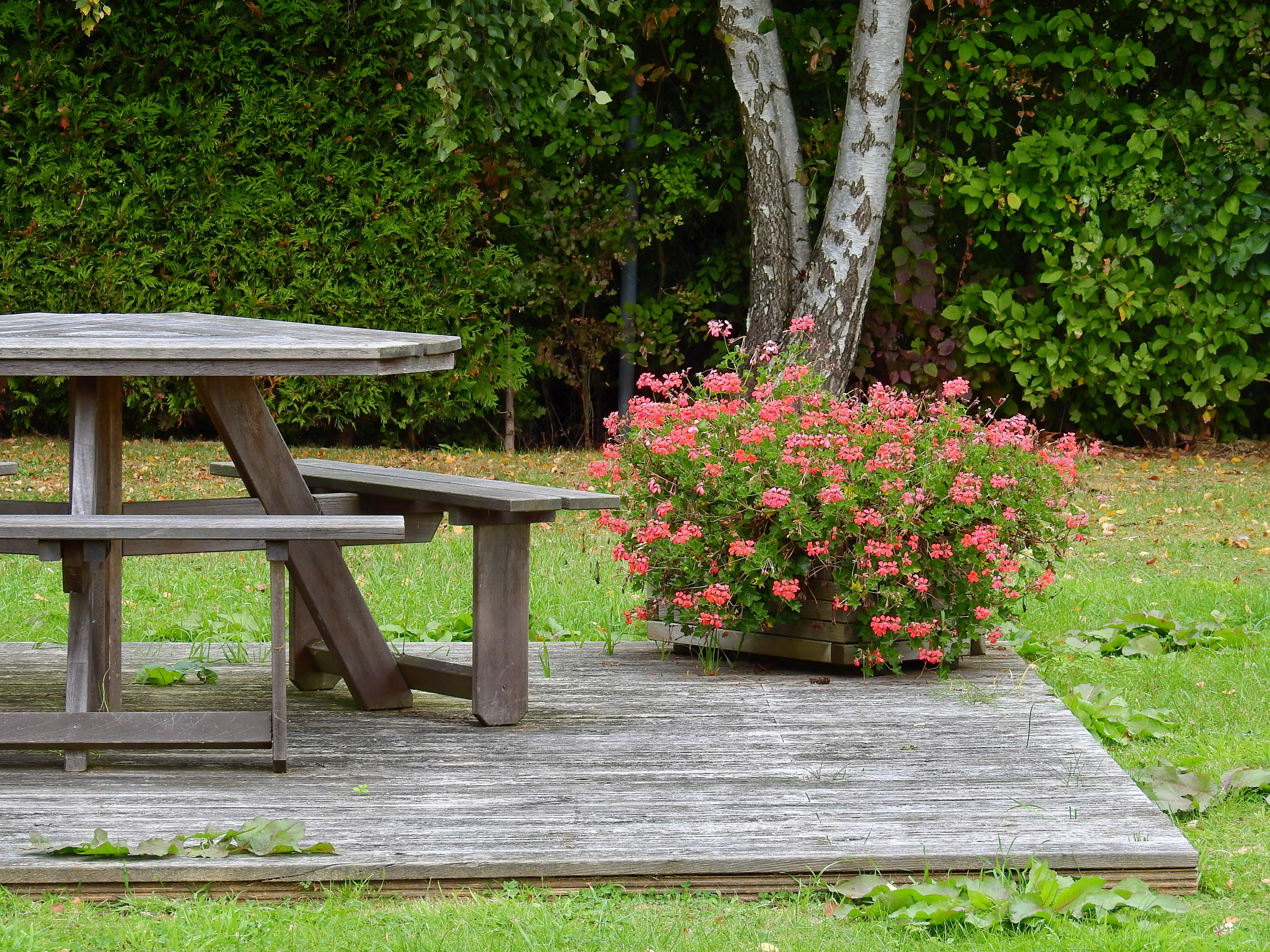 recovery, flower, resting place, no people, bank, seat, wood, bench, springtime, garden, wooden bench, out, wood - Material, rest, park bench, wooden table, HD Wallpaper