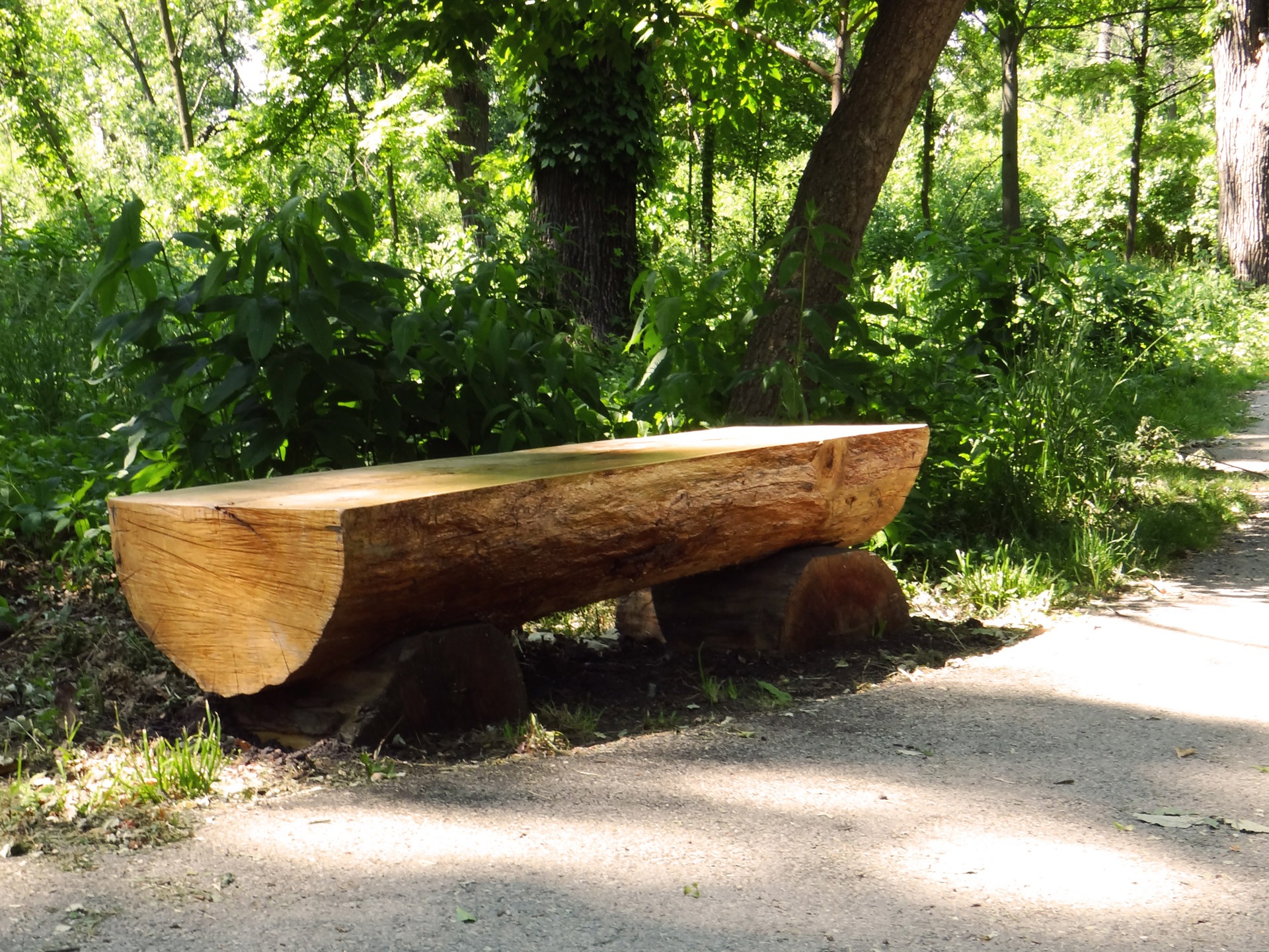 trail, furniture, outdoor, solitude, day, scene, outdoors, no people, place, road, leisure, park - Man Made Space, wood, woods, walk, outside, sunlight, HD Wallpaper