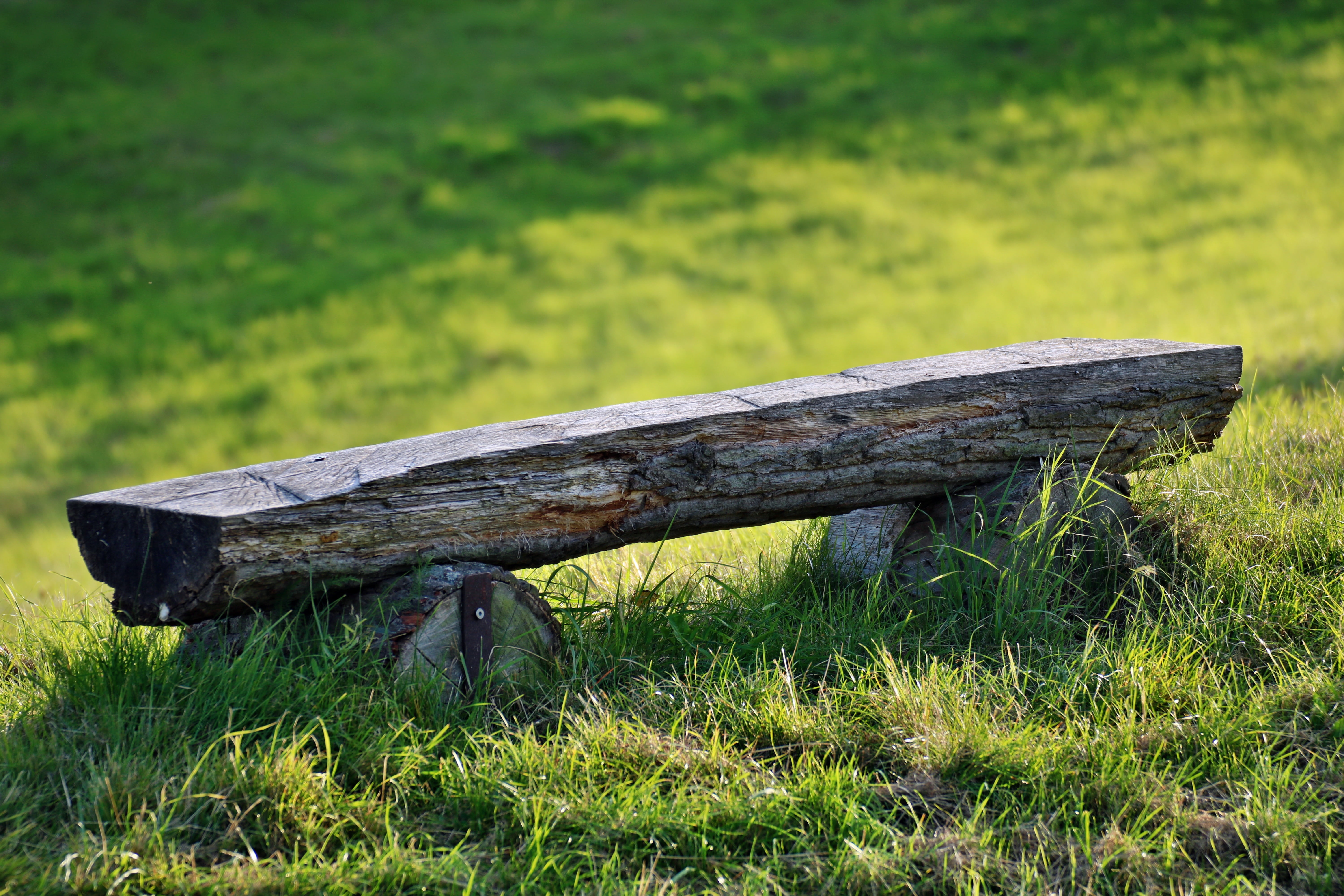 meadow, bench, rest, one animal, landscape, day, log, tranquility, seat, green color, old bench, outdoors, tree, serenity, wood - material, land, 5K, focus on foreground, HD Wallpaper