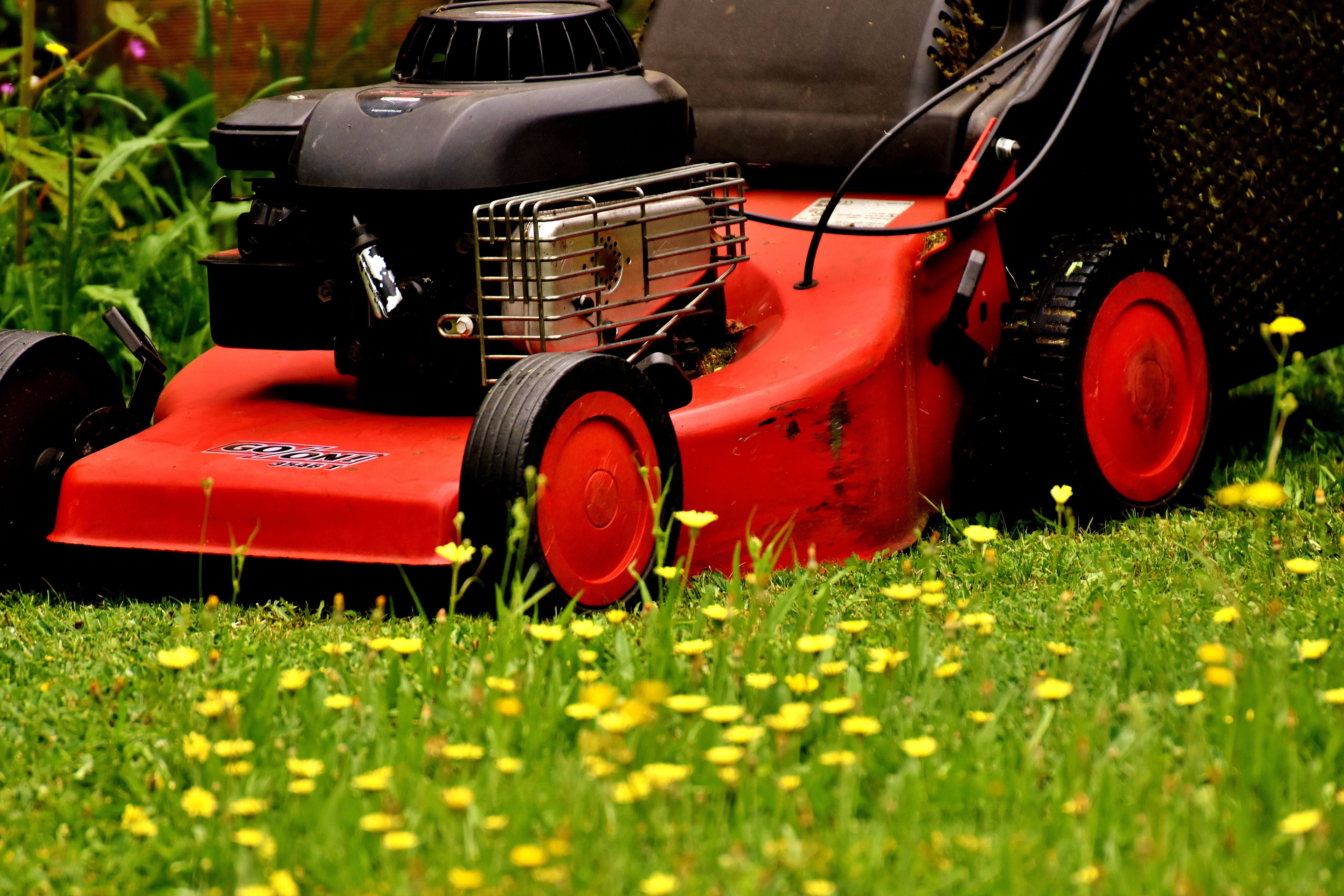 agricultural equipment, field, mower, green color, meadow, lawn mower, blades of grass, land vehicle, day, grass surface, gardening, green, machinery, toy, HD Wallpaper