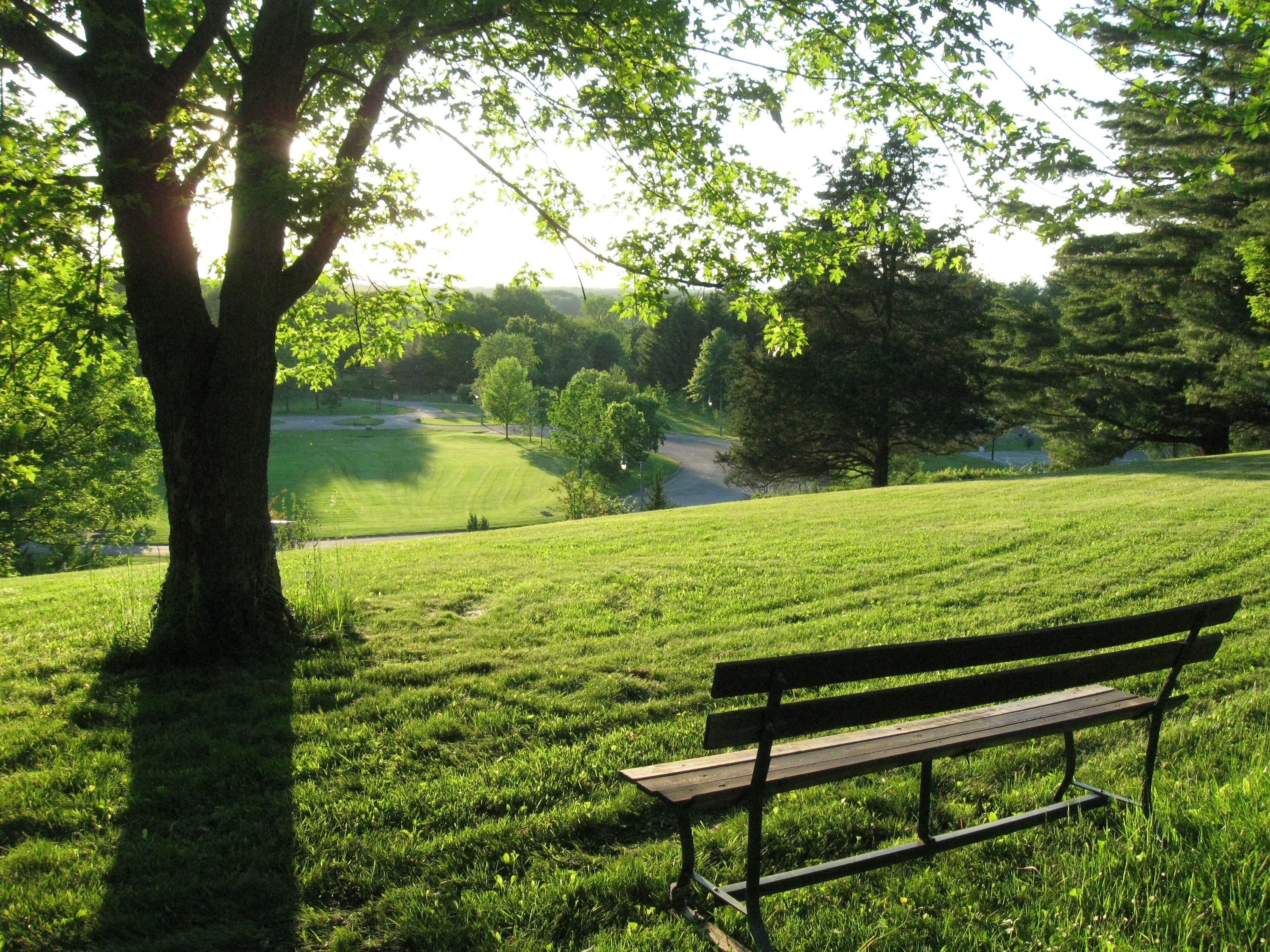 countryside, outdoors, scenics, field, sunlight, tranquil Scene, meadow, no People, seat, day, plant, growth, land, absence, park bench, grass, 2K, black, HD Wallpaper