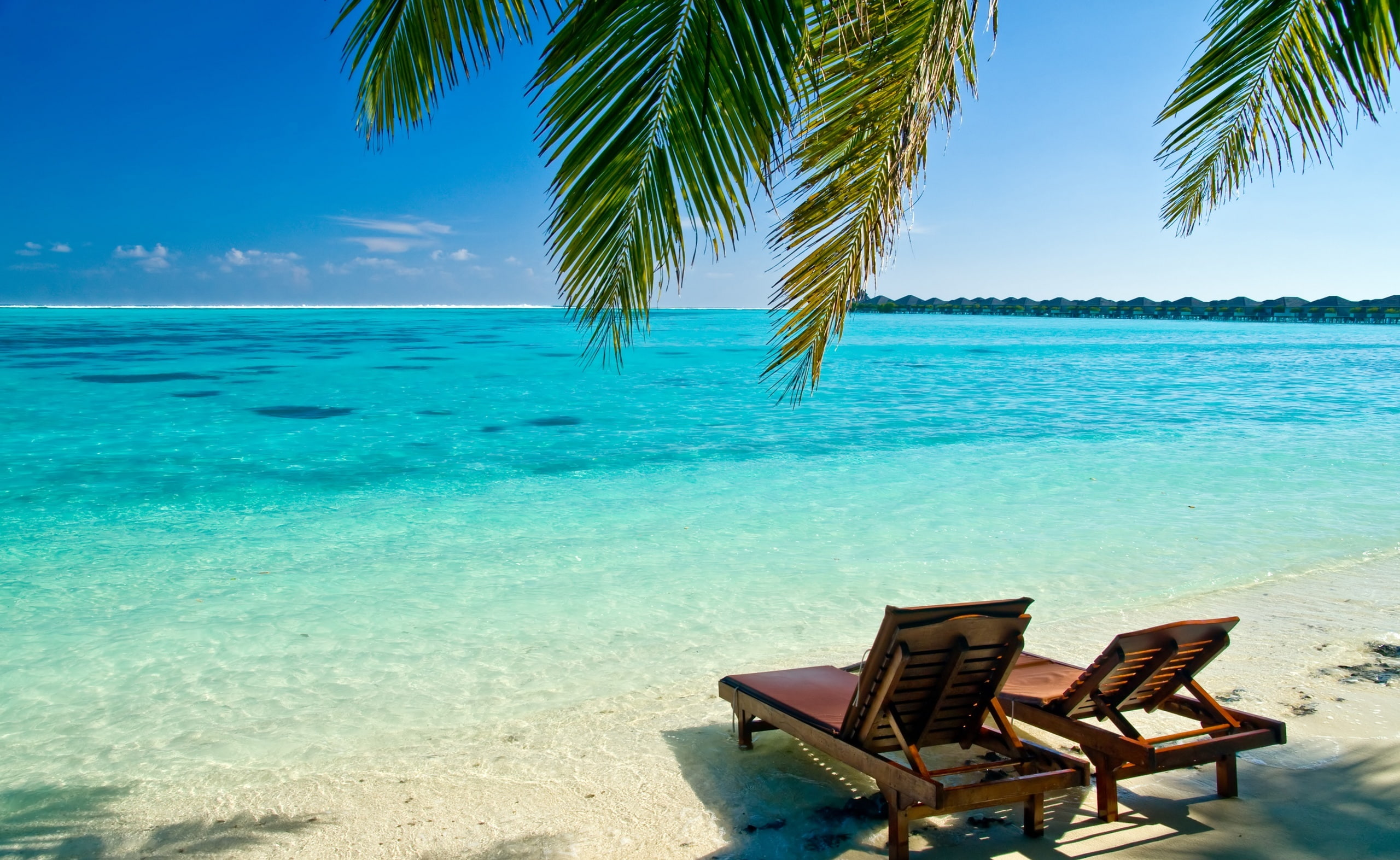 trip, brown, sky, turquoise colored, beauty in nature, outdoor, coconut palm tree, 2K, land, vacations, holiday, tree, sand, chair, seat, Deck, Seasons, HD Wallpaper