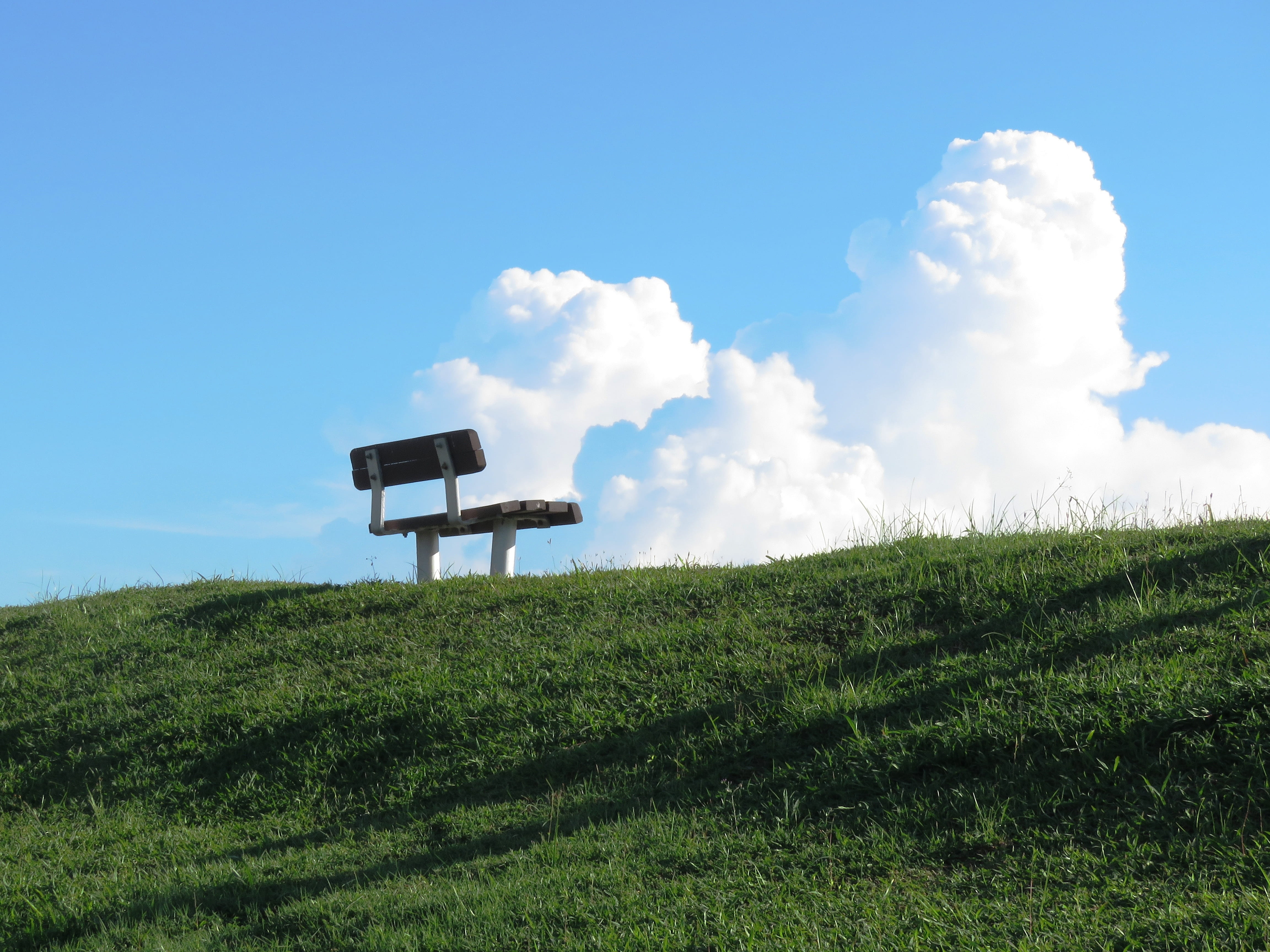 white, Rest, bench, framed, comfortable, tranquility, landscape, sitting, blue, dark life, plant, style, relaxation, tranquil scene, environment, outdoors, HD Wallpaper