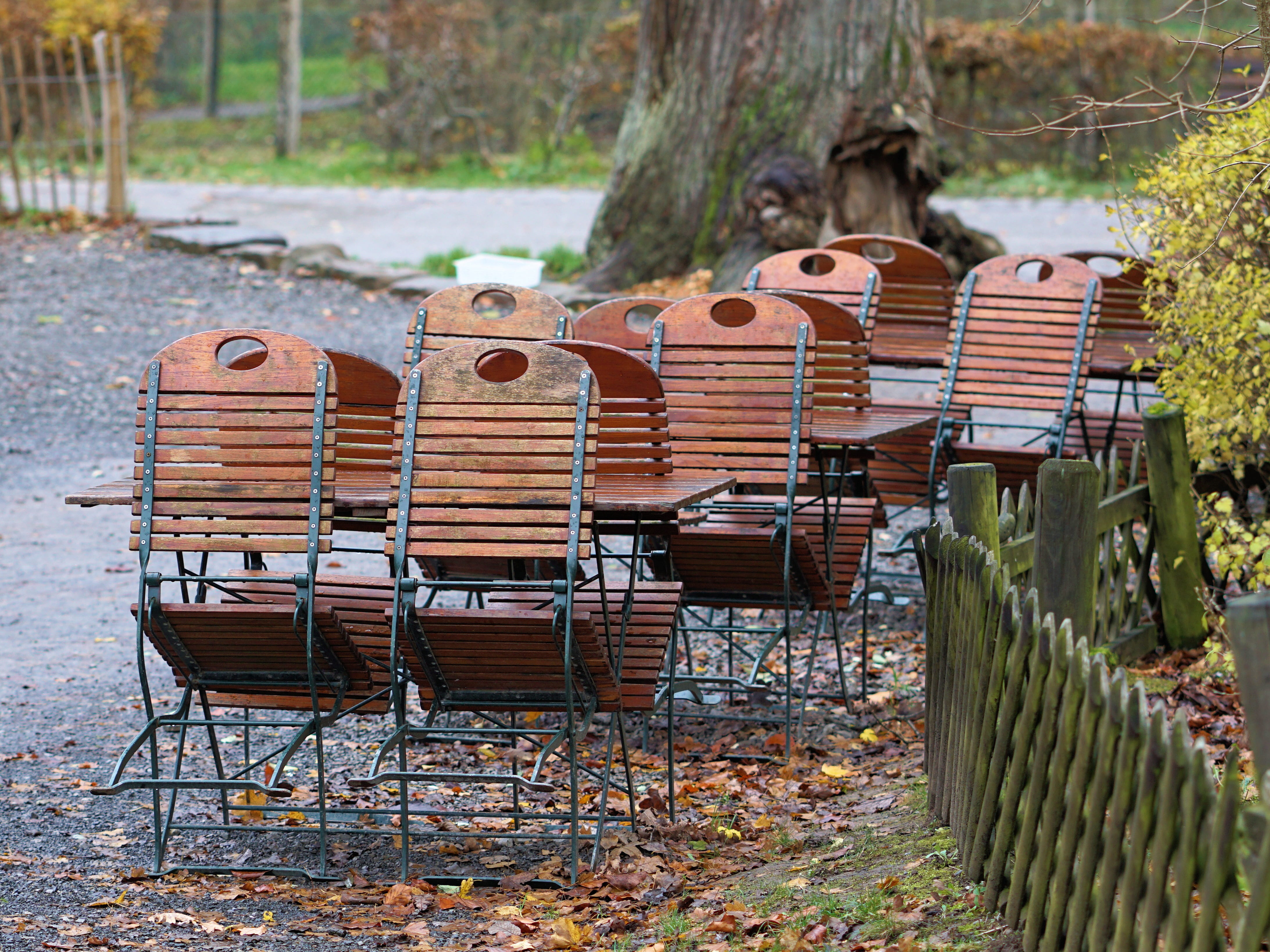 load circuit, empty, park bench, out, drink, food and drink, food, absence, tree, celebrate, autumn, closed, summer, wooden, 4K, brown, outside catering, HD Wallpaper