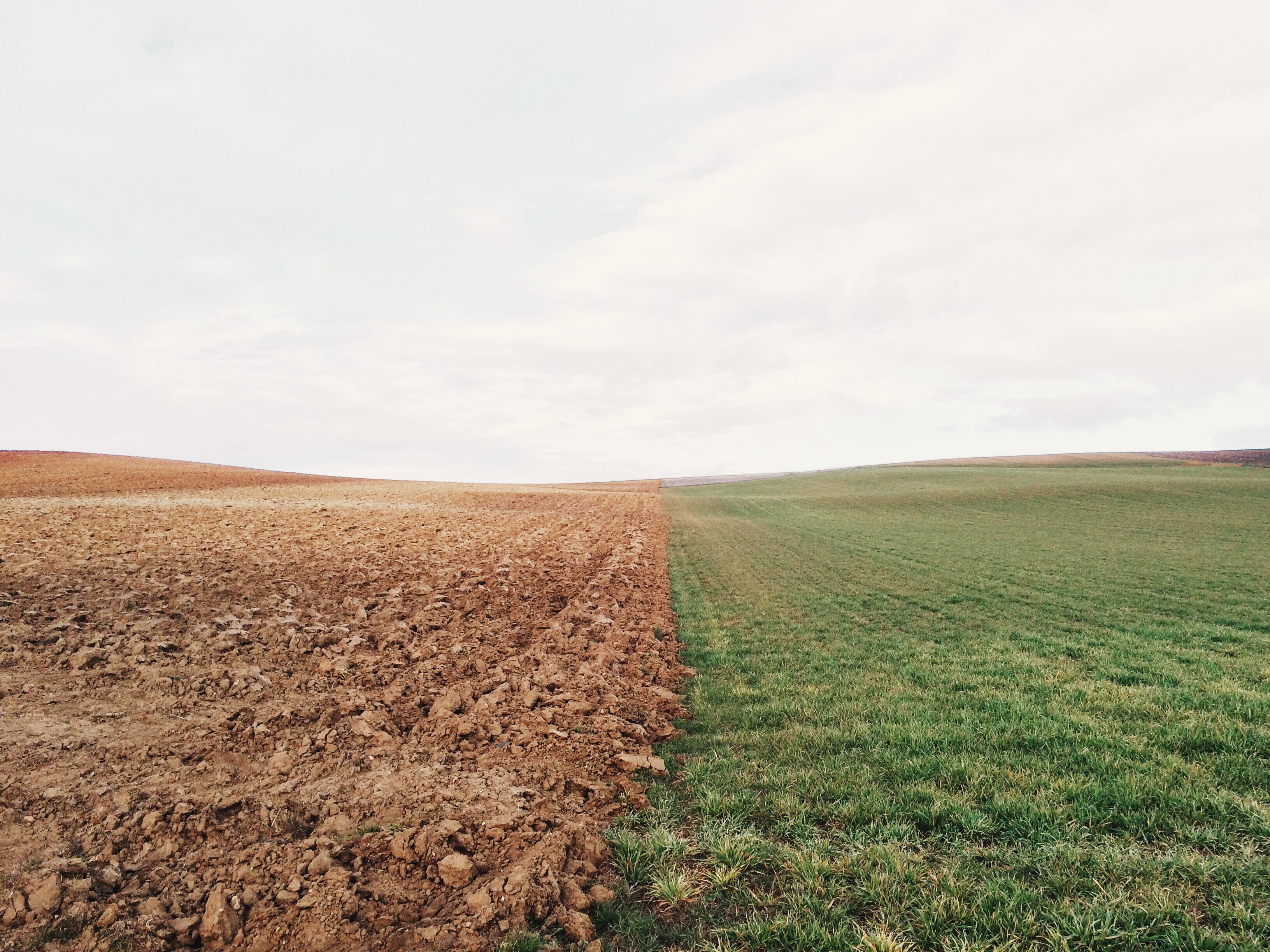 beauty in nature, dirt, cloud - Sky, agriculture, landscape, environment, scenics - nature, tranquility, wheat, summer, grass, farm, grass field, green Color, HD Wallpaper