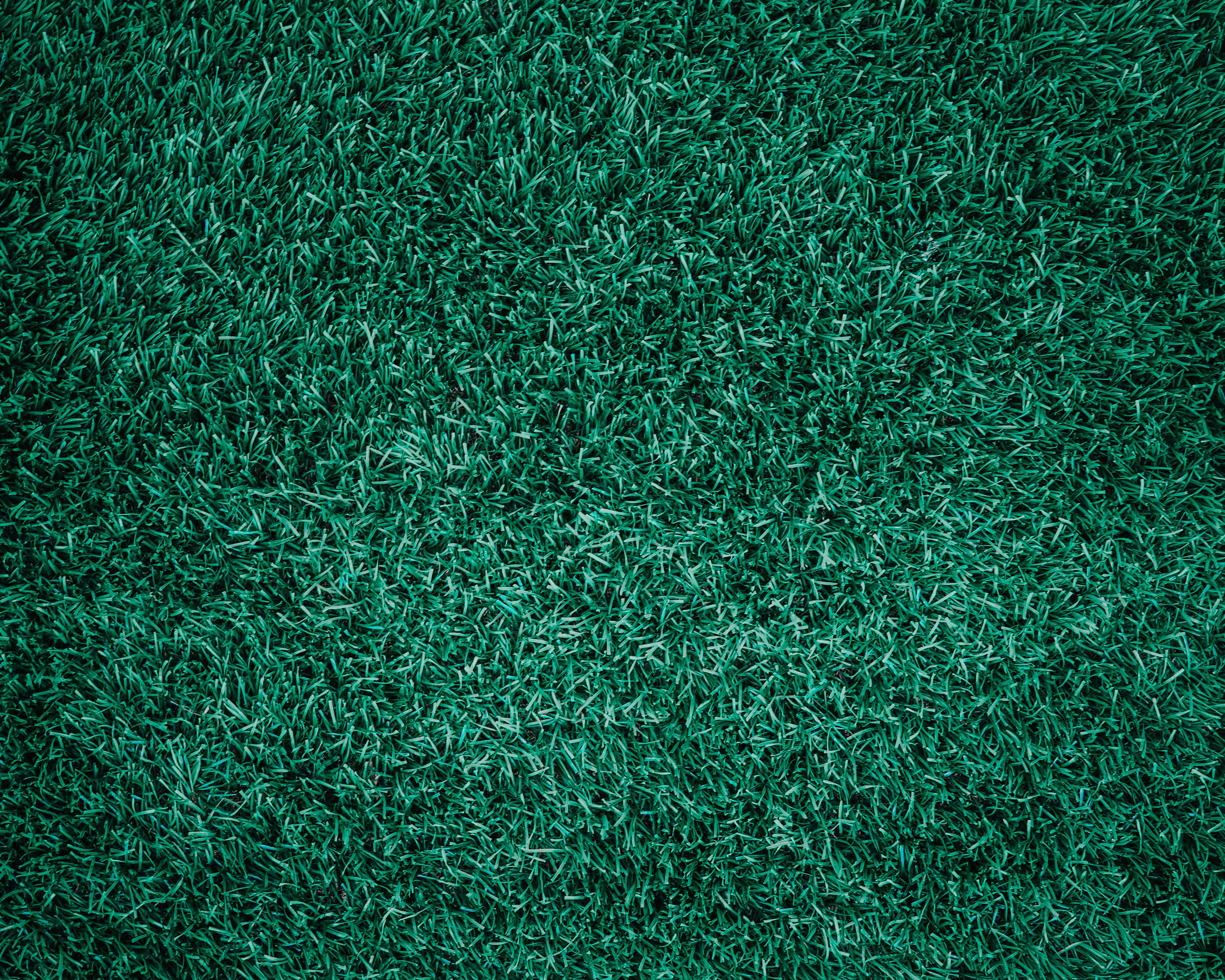 lifestyle, lawn, high angle view, growth, full frame, day, closeup, environment, photo, golf, lay, no people, backgrounds, beautiful, flat, clean, yard, HD Wallpaper