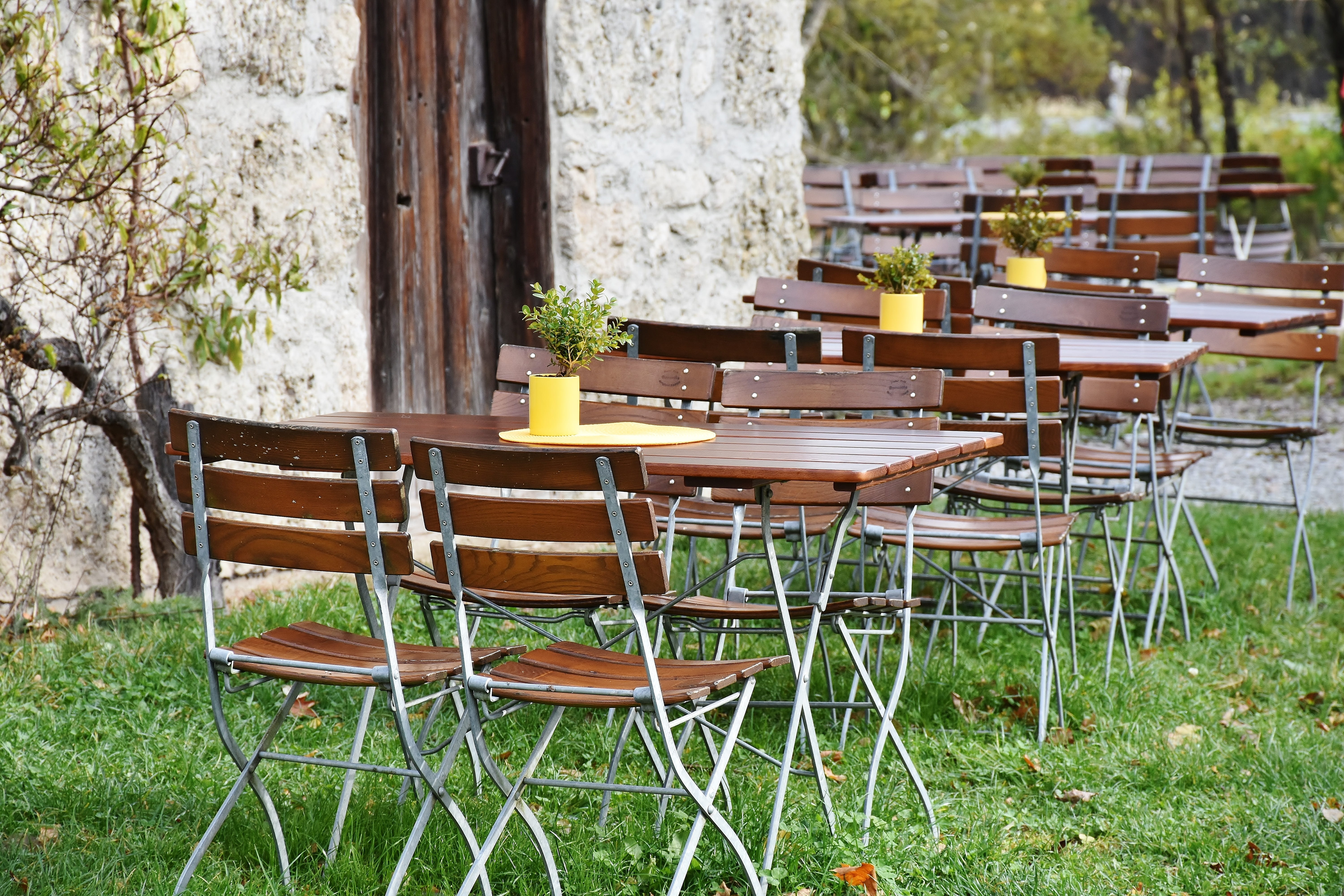 benches, leaves, plant, dining tables, wood - material, drink, color, glass, beer, chairs, tranquility, absence, bavaria, bubbly, arrangement, furniture, HD Wallpaper