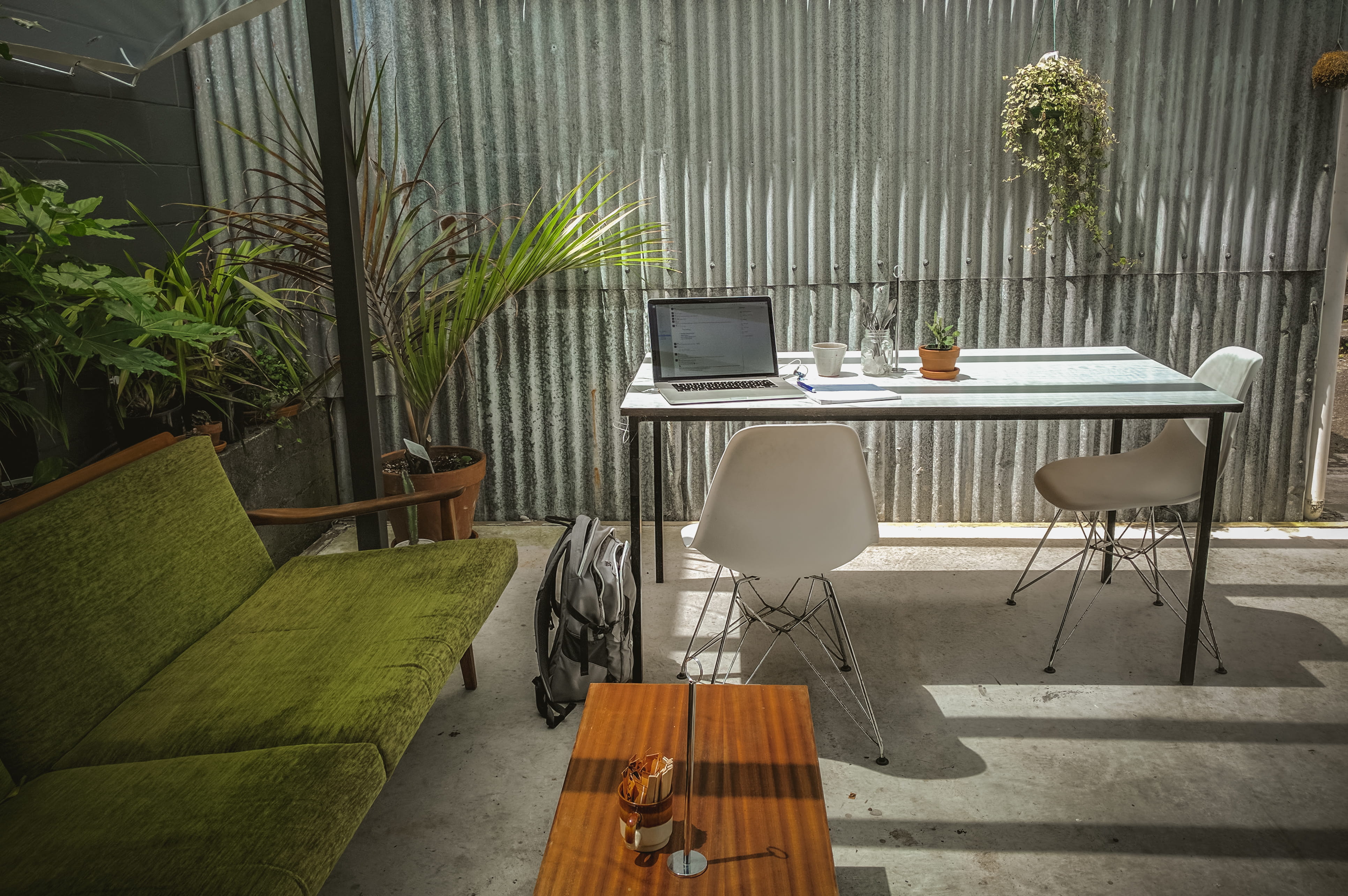 growth, 4K, padded, chair, decor, patio, green, nature, indoors, day, laptop, desk, sofa, window, technology, furniture, workspace, wood - Material, Life, HD Wallpaper