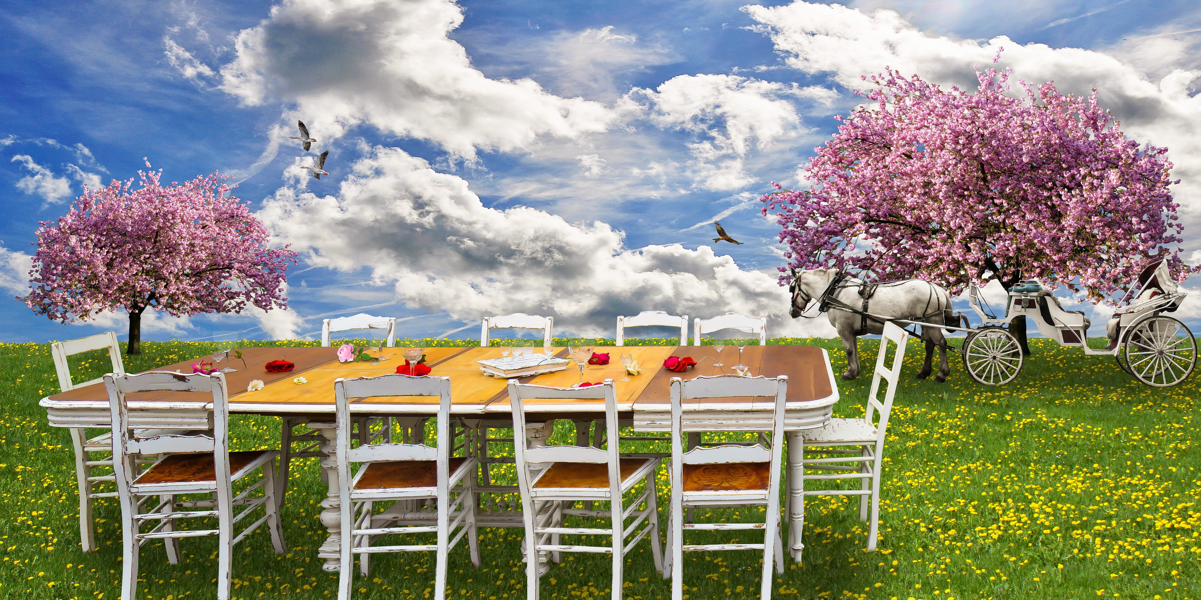 sky, picnic, break, invitation, tree, meadow, coach, clouds, freshness, bloom, glass, flower, family fast, flowering plant, drink, spring, blossom, greeting card, HD Wallpaper