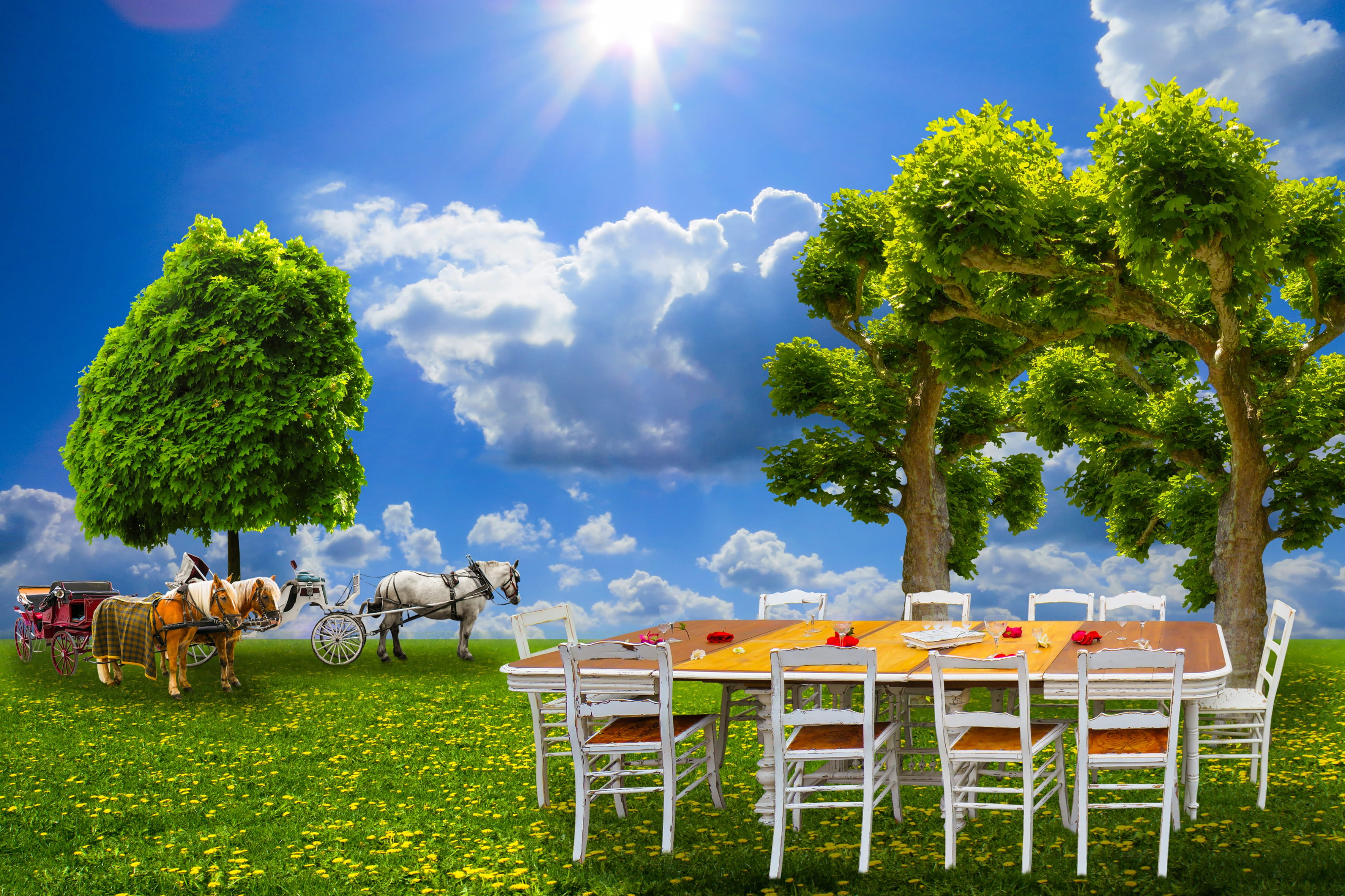 nature, day, no people, wedding, chair, food, festival, landscape, birthday party, meadow, tree, horses, horse drawn carriage, livestock, birthday, table, HD Wallpaper