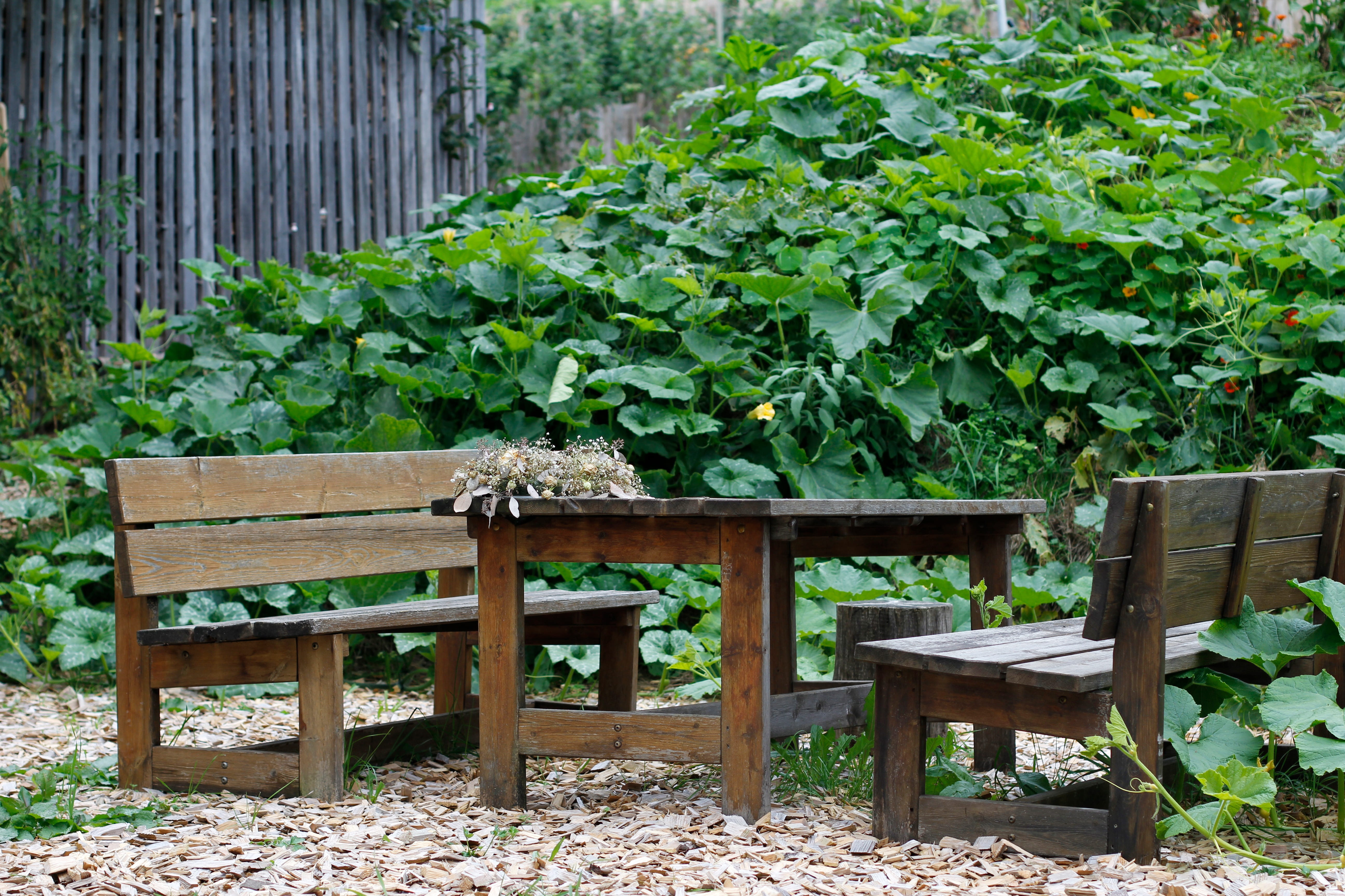 relaxation, rest, plant, idyll, sit, growth, seat, green color, park bench, leaf, plant part, boundary, idyllic, garden bench, no people, wood - material, HD Wallpaper