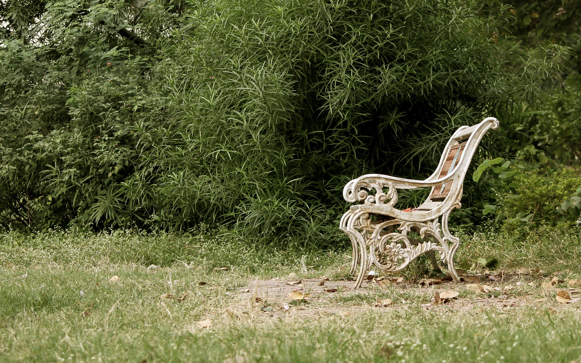forest, mammal, grass, day, tree, seat, bench, animal themes, peaceful, garden, beauty in nature, nature, cloudy, park, field, one animal, deer, no people, HD Wallpaper