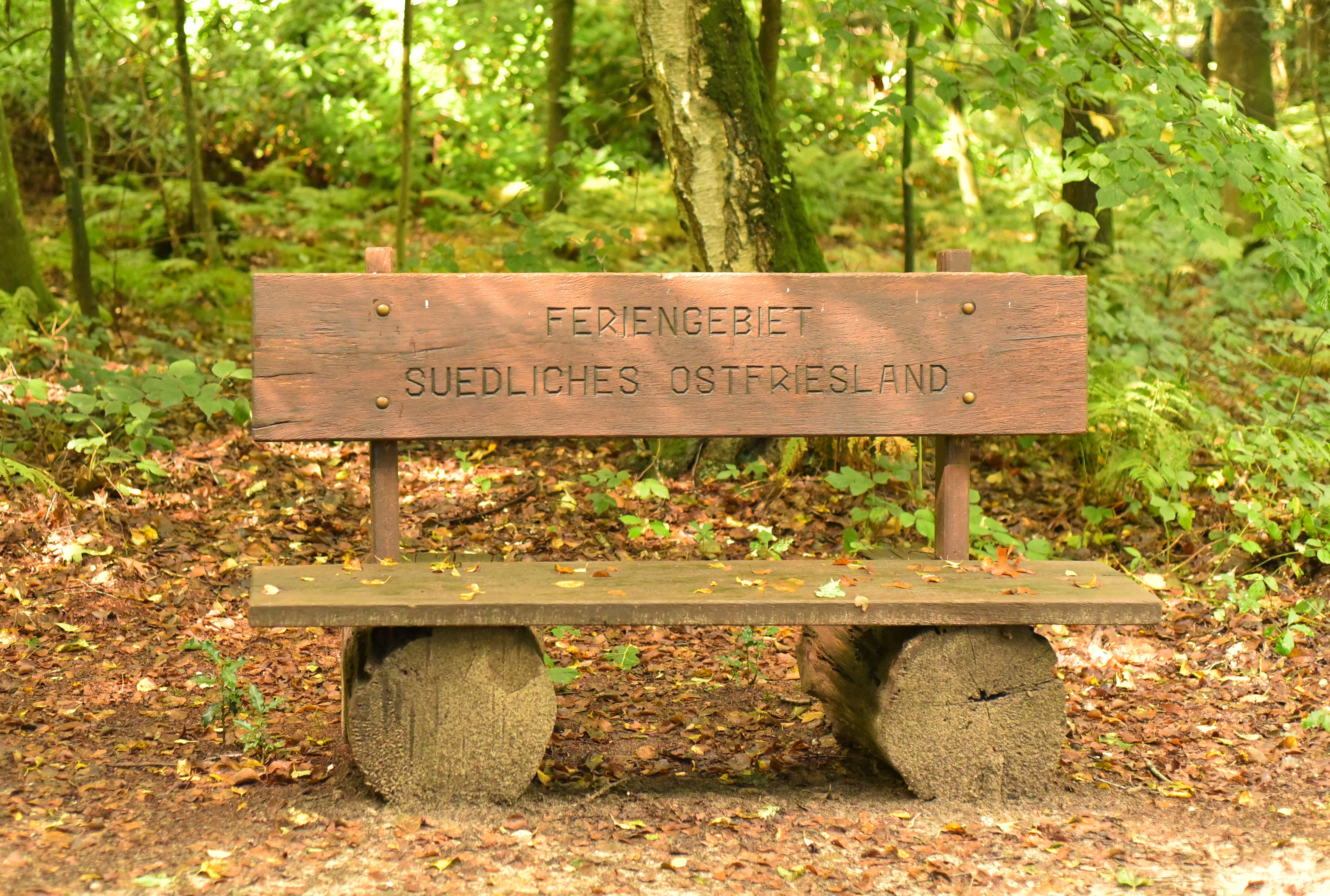 message, bank, bench, brown, direction, idyllic, woods, no people, season, autumn, nature, western script, plant, communication, resting place, 5K, sign, HD Wallpaper