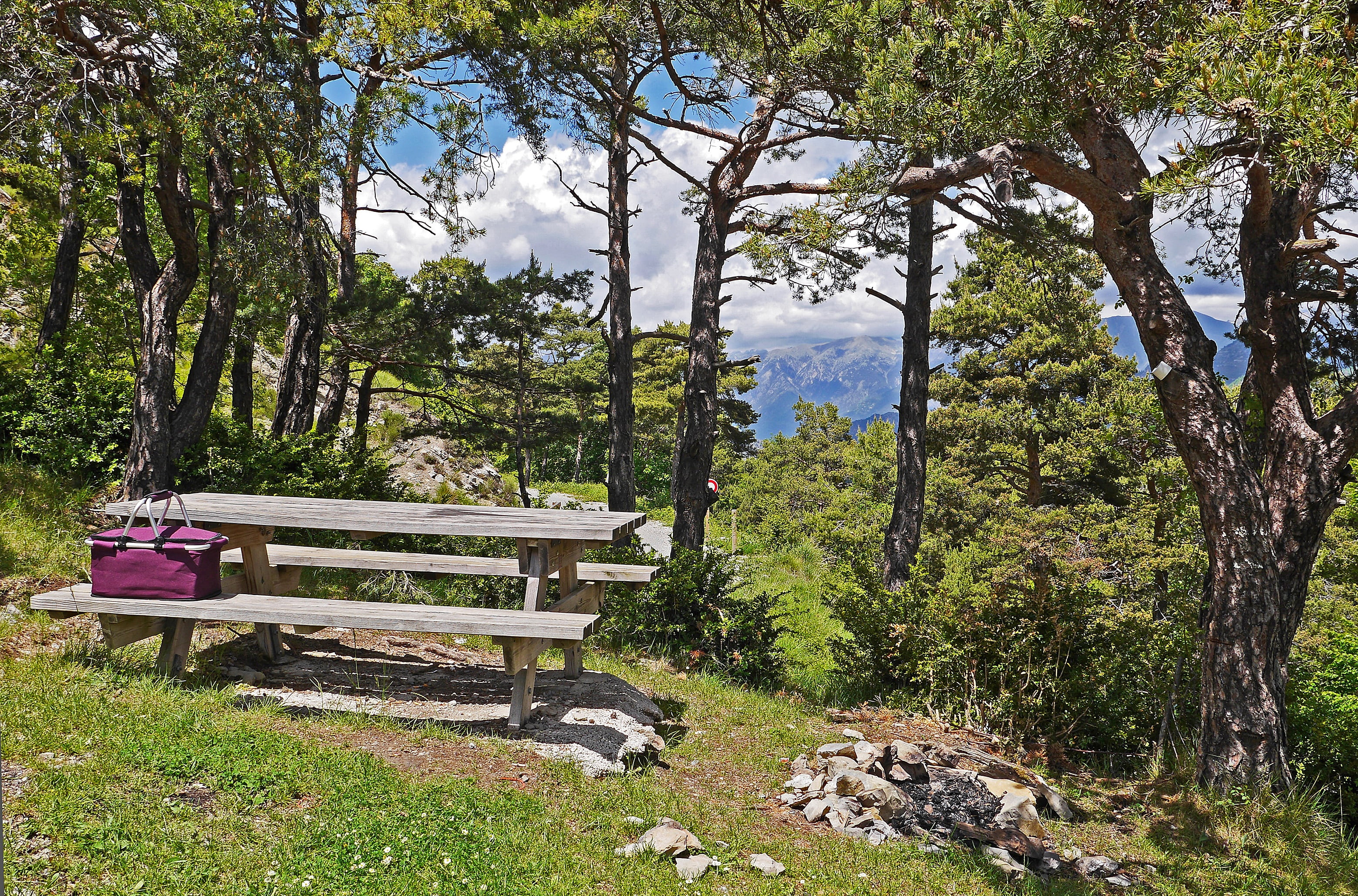 hiking, growth, plant, view, seating arrangement, tree trunk, green color, landscape, maritime alps, nature, non-urban scene, table, scenics, park, pine, HD Wallpaper