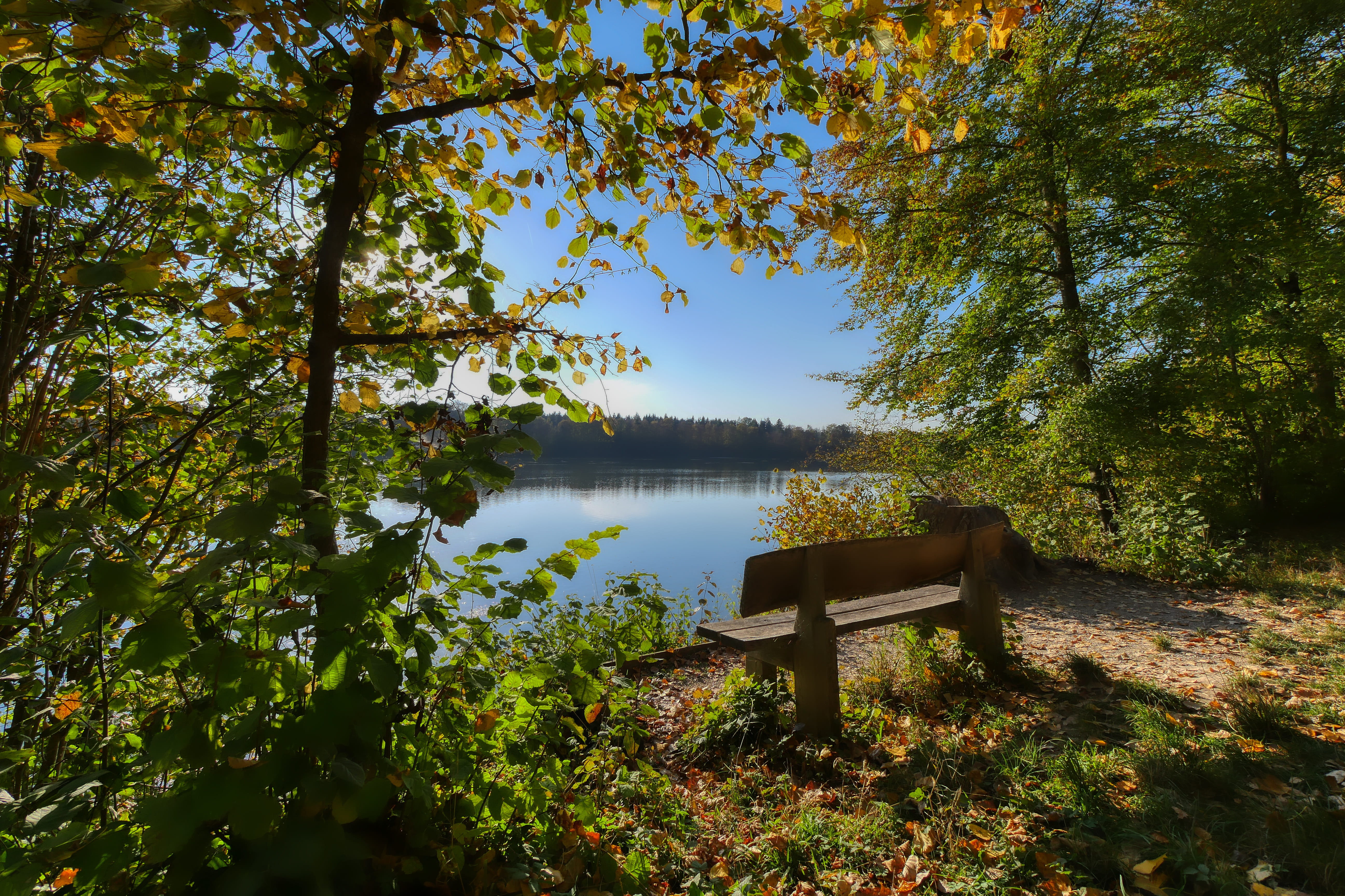 landscape, green color, mood, relax, change, autumn, wooden bench, leaf, rest, wood, bank, beauty in nature, sky, nature, recovery, tree, bench, no people, HD Wallpaper