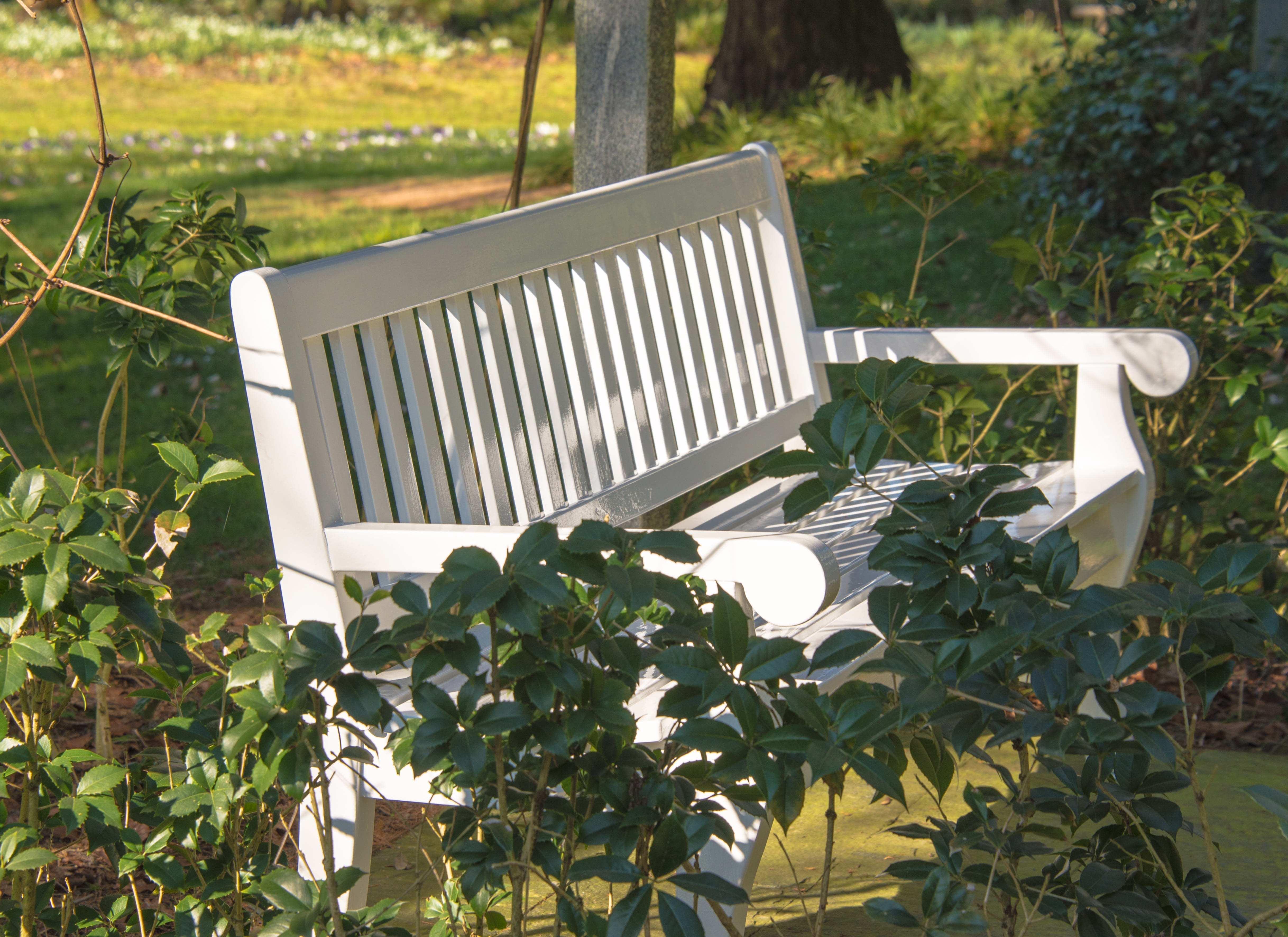 4K, garden, idyllic, outdoors, growth, absence, tranquility, park bench, park, day, sit, plant, out, green color, resting place, grass, nature, tree, shadow, HD Wallpaper