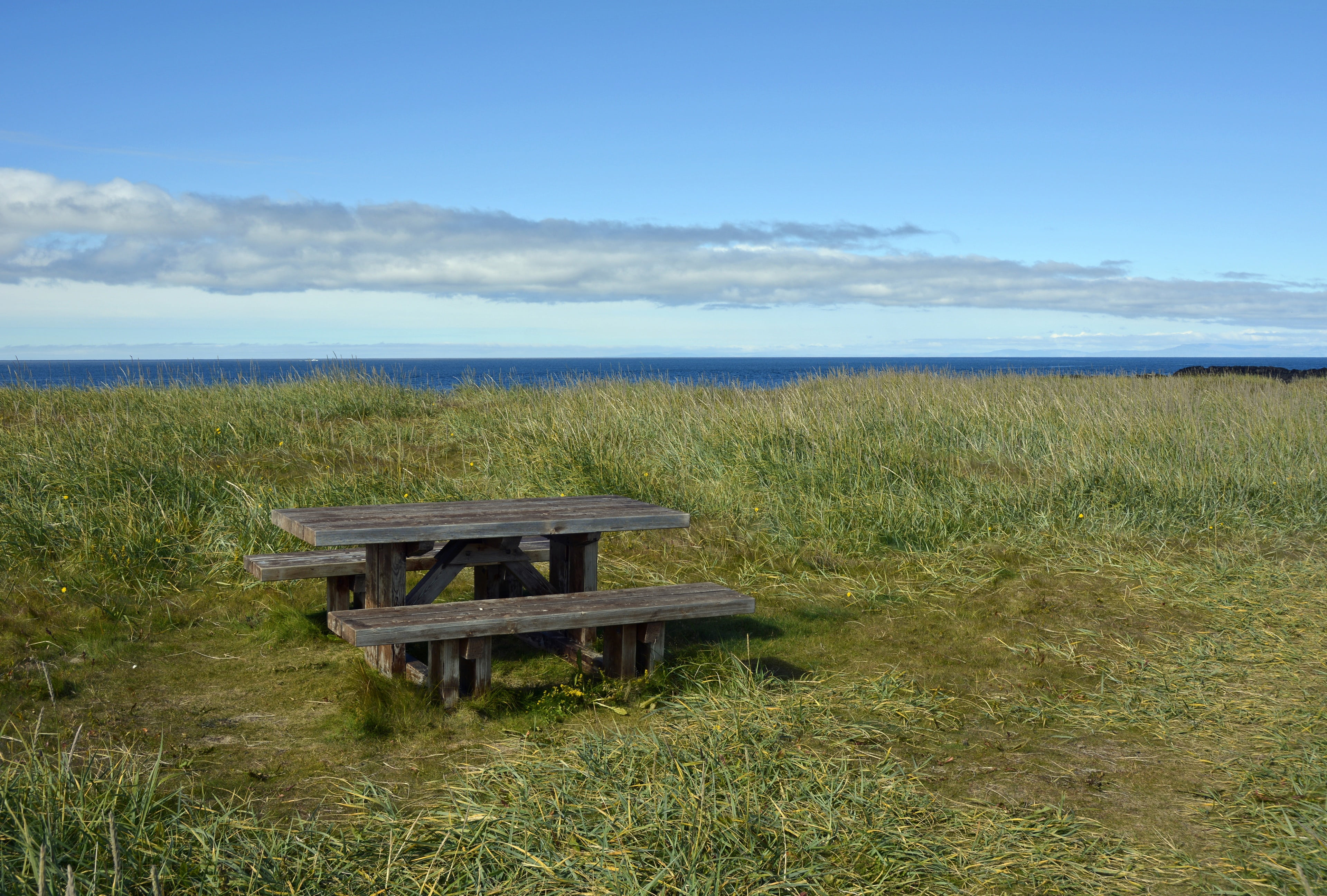relaxation, absence, horizon over water, coast, field, day, grass, landscape, empty, horizon, beauty in nature, break, picnic, bank, tranquil scene, relax, HD Wallpaper