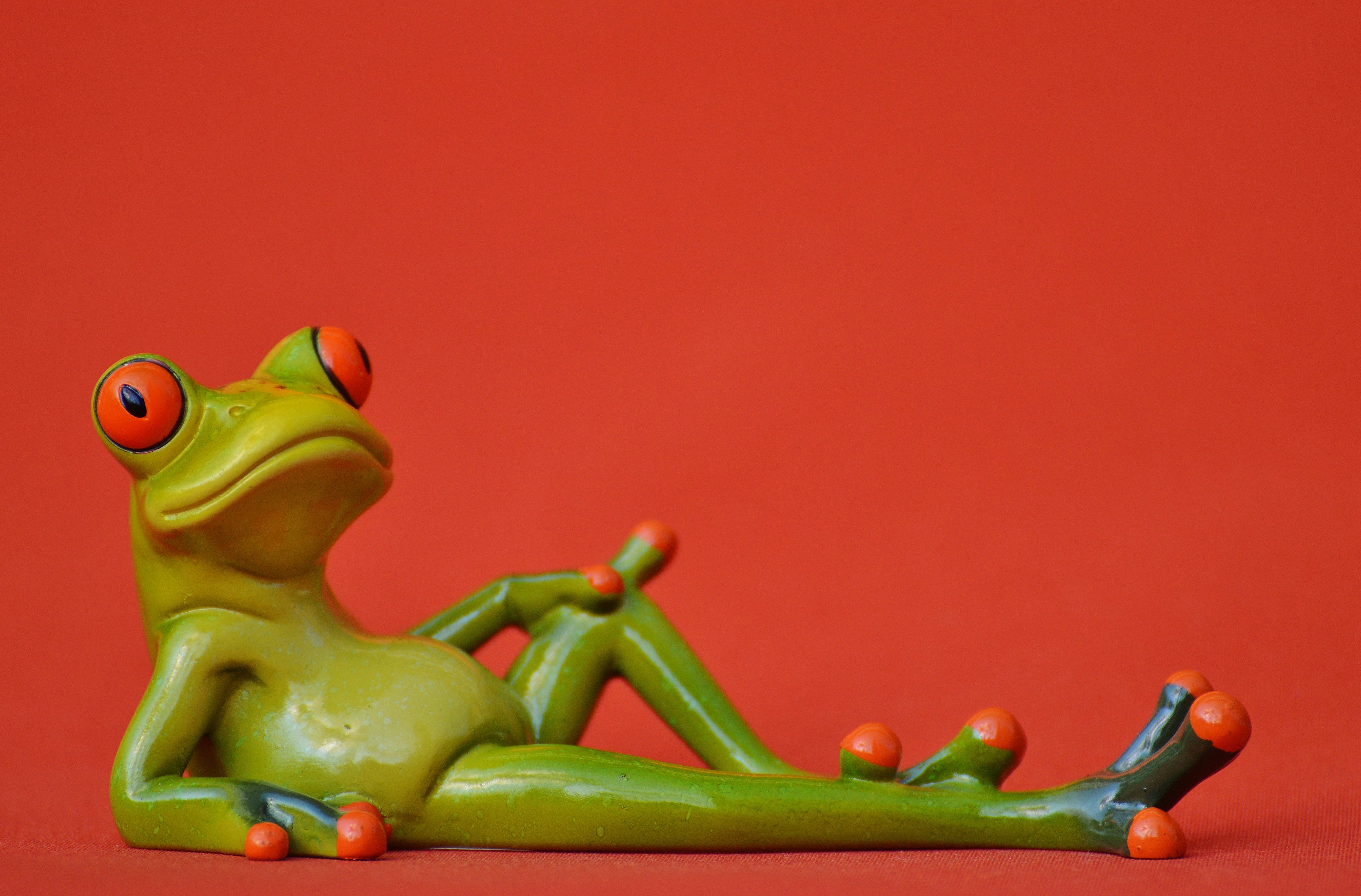 copy space, studio shot, frogs, sweet, representation, photography, food and drink, close-up, toy, figure, food, lying, healthy eating, red, frog, spice, HD Wallpaper