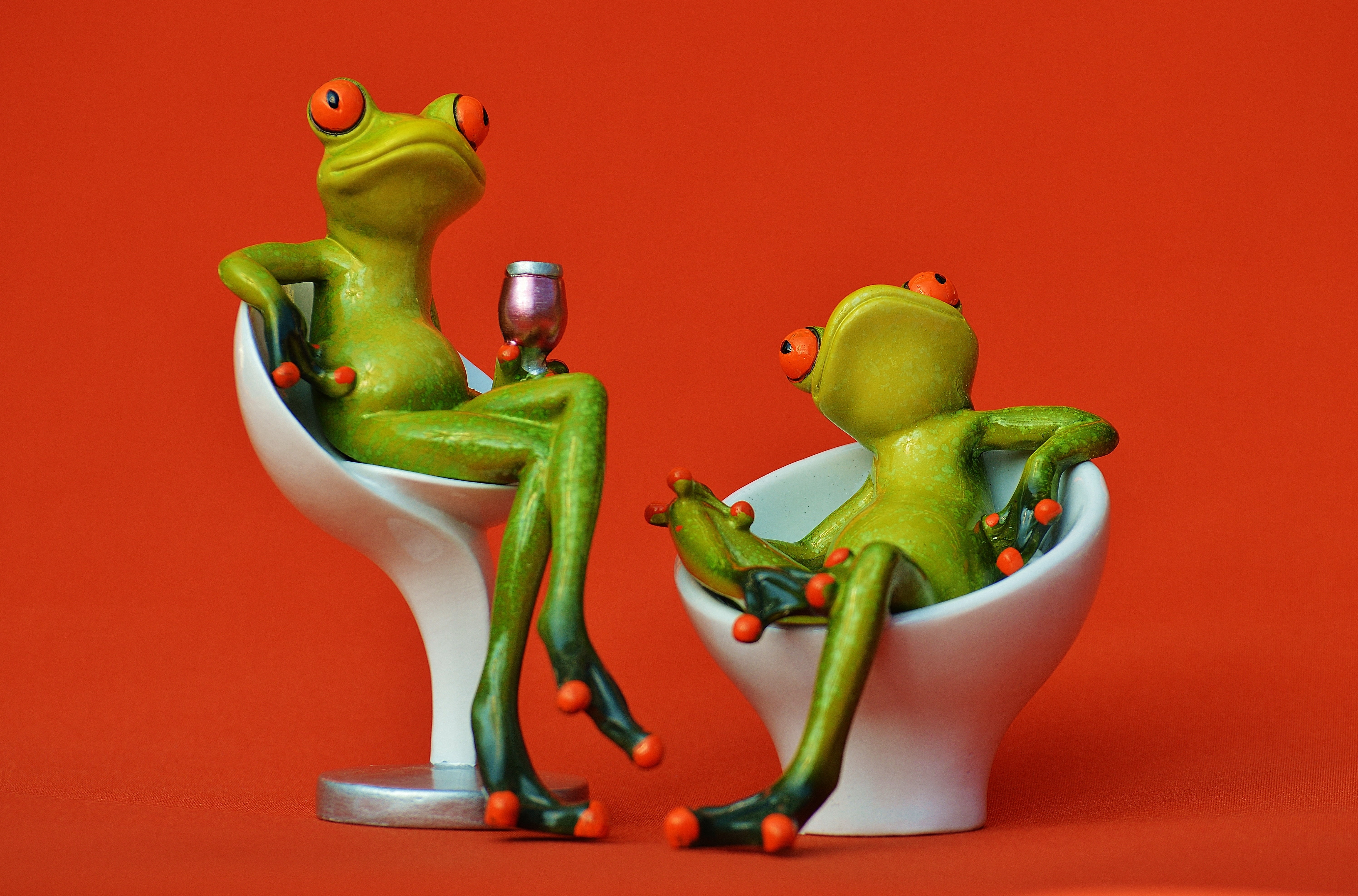 choice, pepper, vegetable, spice, talk, chat, freshness, sitting, celebrate, studio shot, food, chairs, funny, cute, food and drink, chick, creativity, HD Wallpaper