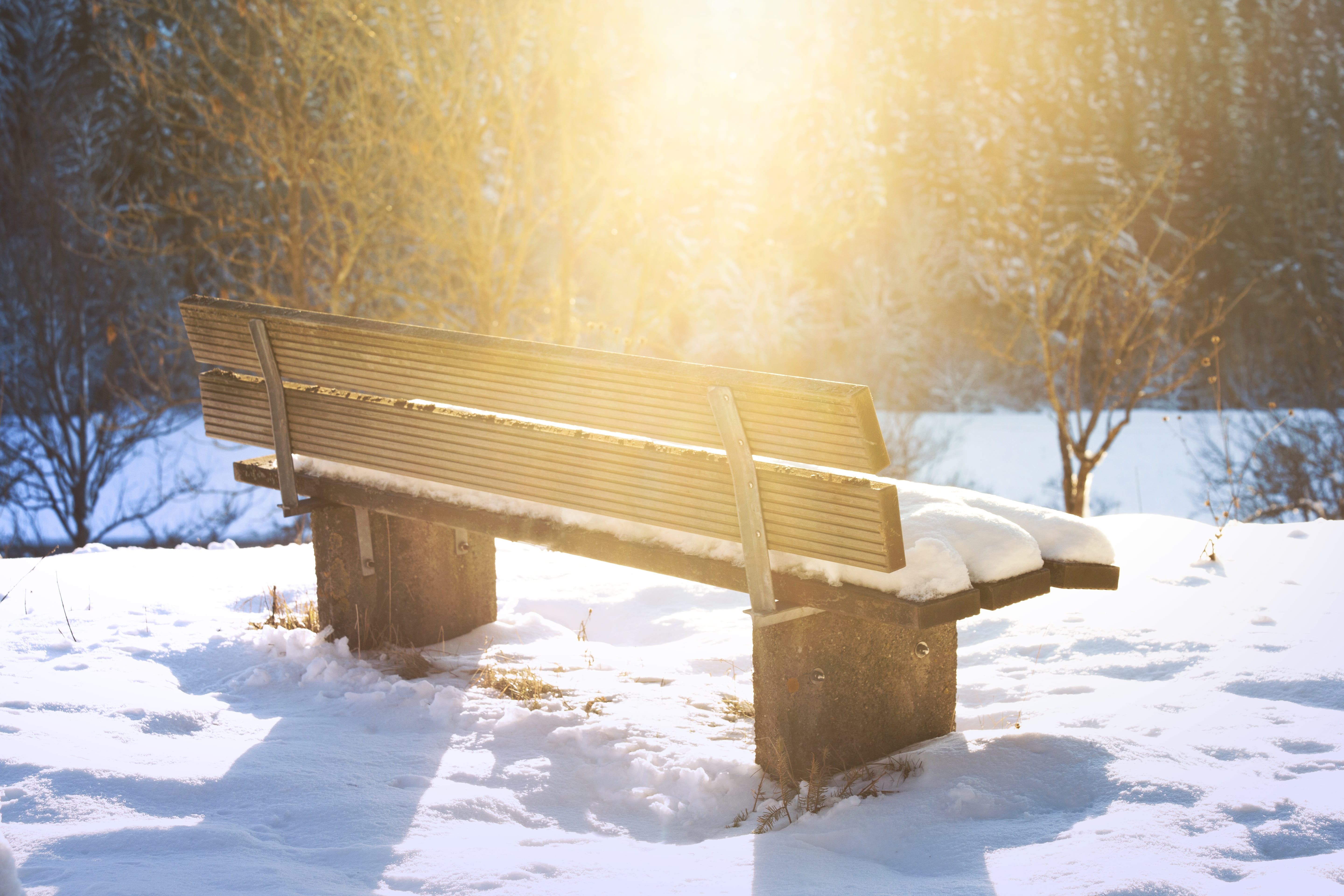 sunbeam, bench, resting place, no people, wait, outdoors, snow, seat, sunlight, lens flare, snowing, frozen, blizzard, extreme weather, rest, 5K, idyll, HD Wallpaper