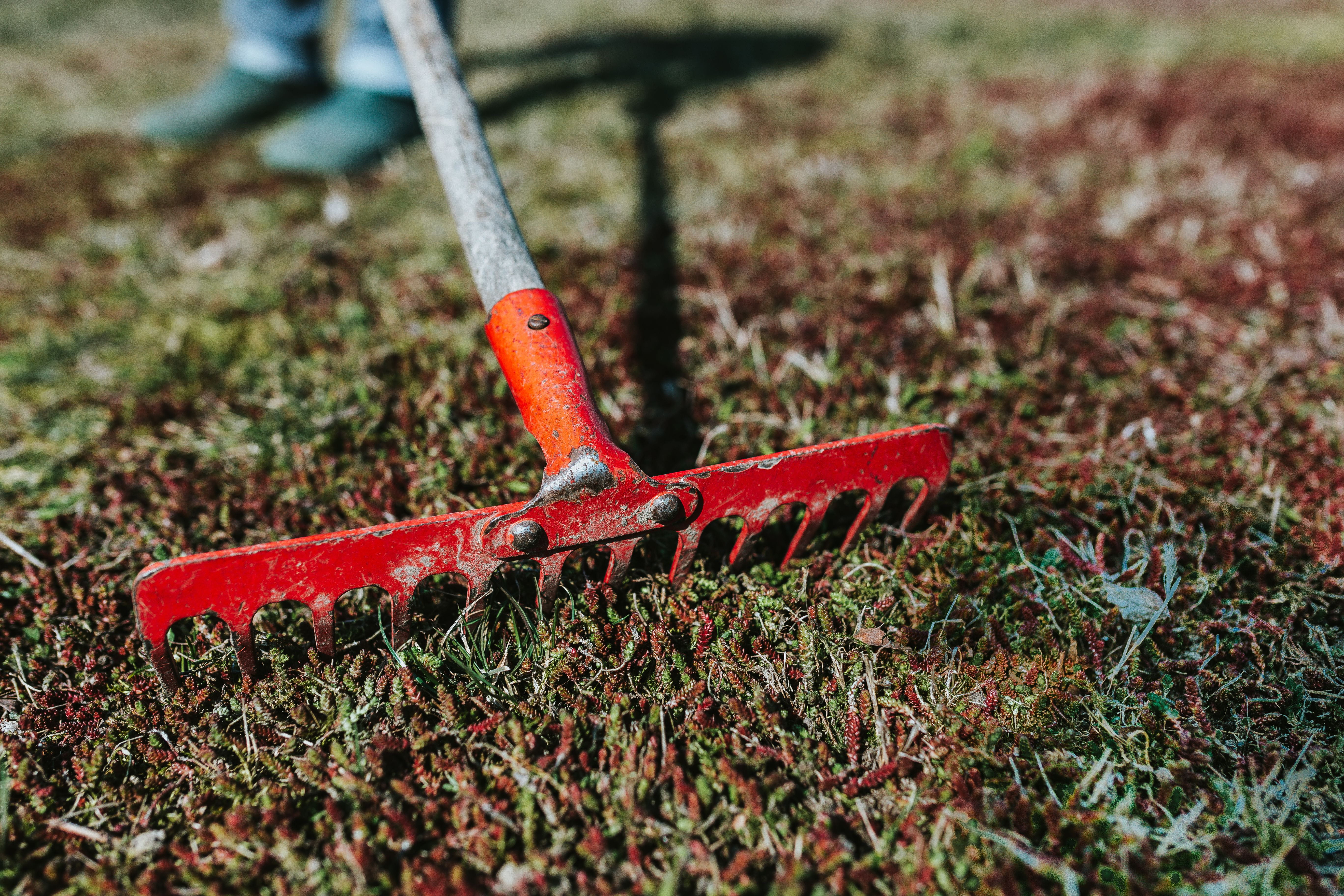 dirt, agriculture, no people, orange color, working, focus on foreground, hoe, farm, rake, close-up, land, garden, shovel, cultivation, front or Back Yard, HD Wallpaper